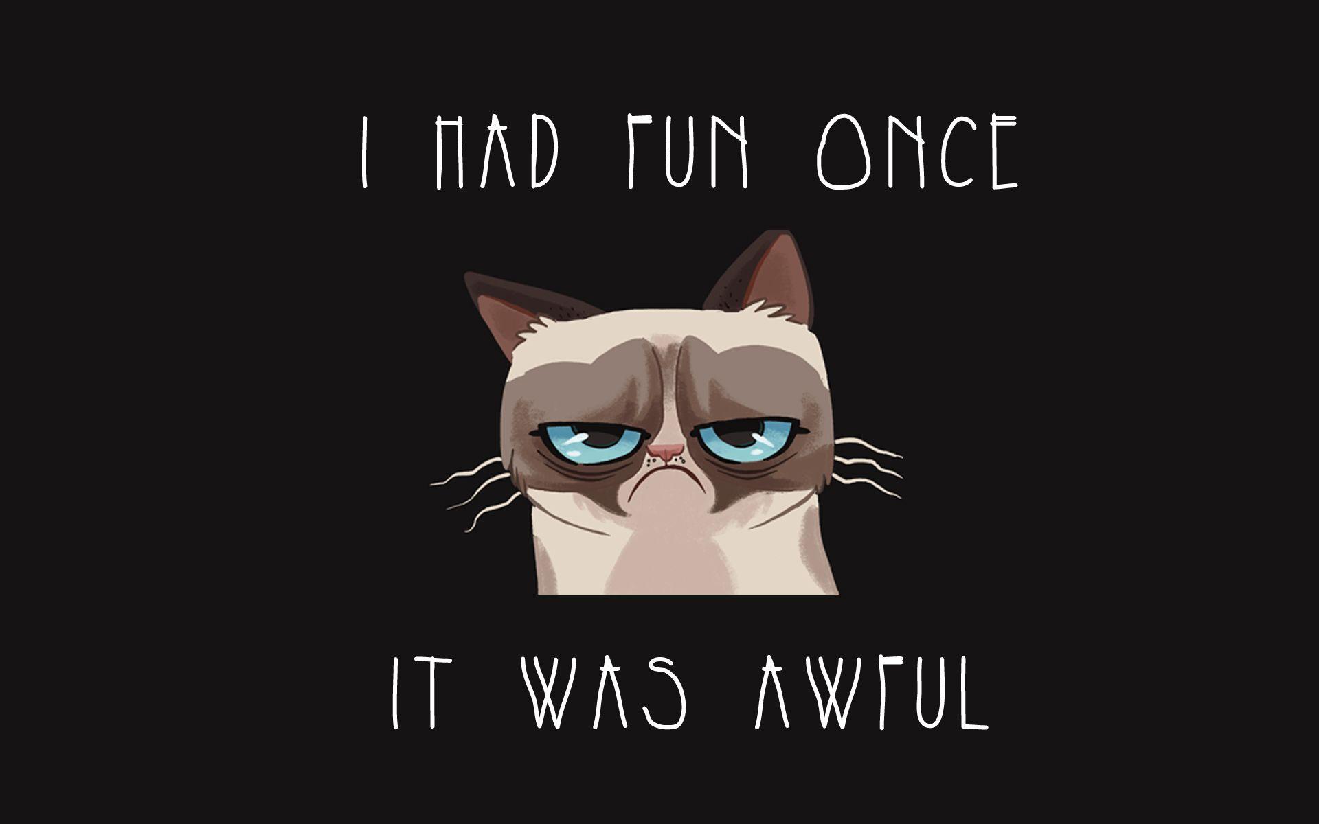 Funny Grumpy Cat HD Desktop Wallpaper. HD Desktop Wallpaper