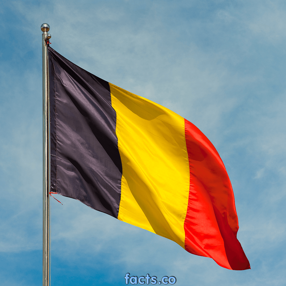 Belgien Flagge Wallpaper / Kostenloses Belgien Flagge Photos Freeimages Com