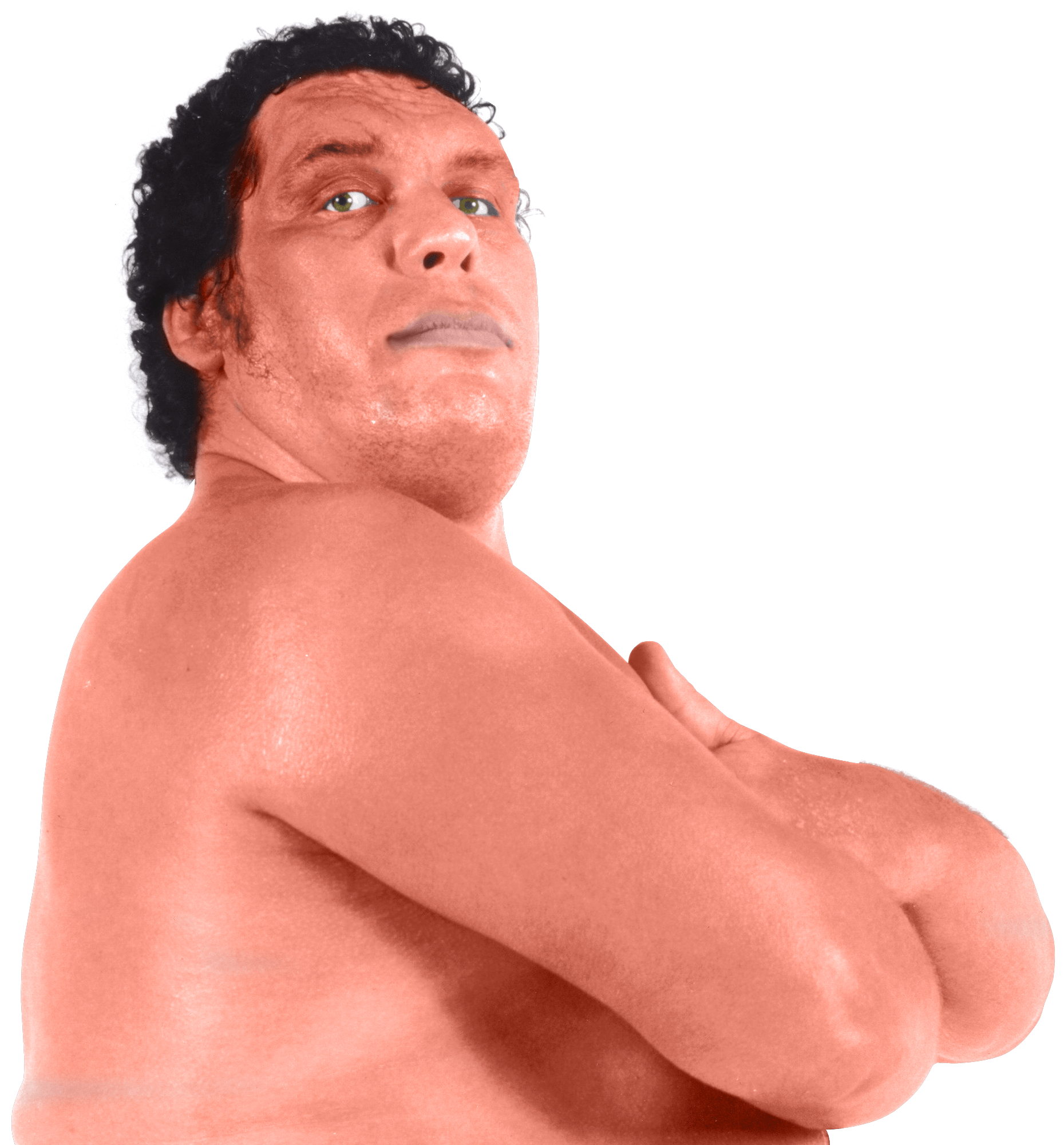 Wrestling Official Licensing Website of Andre The Giant