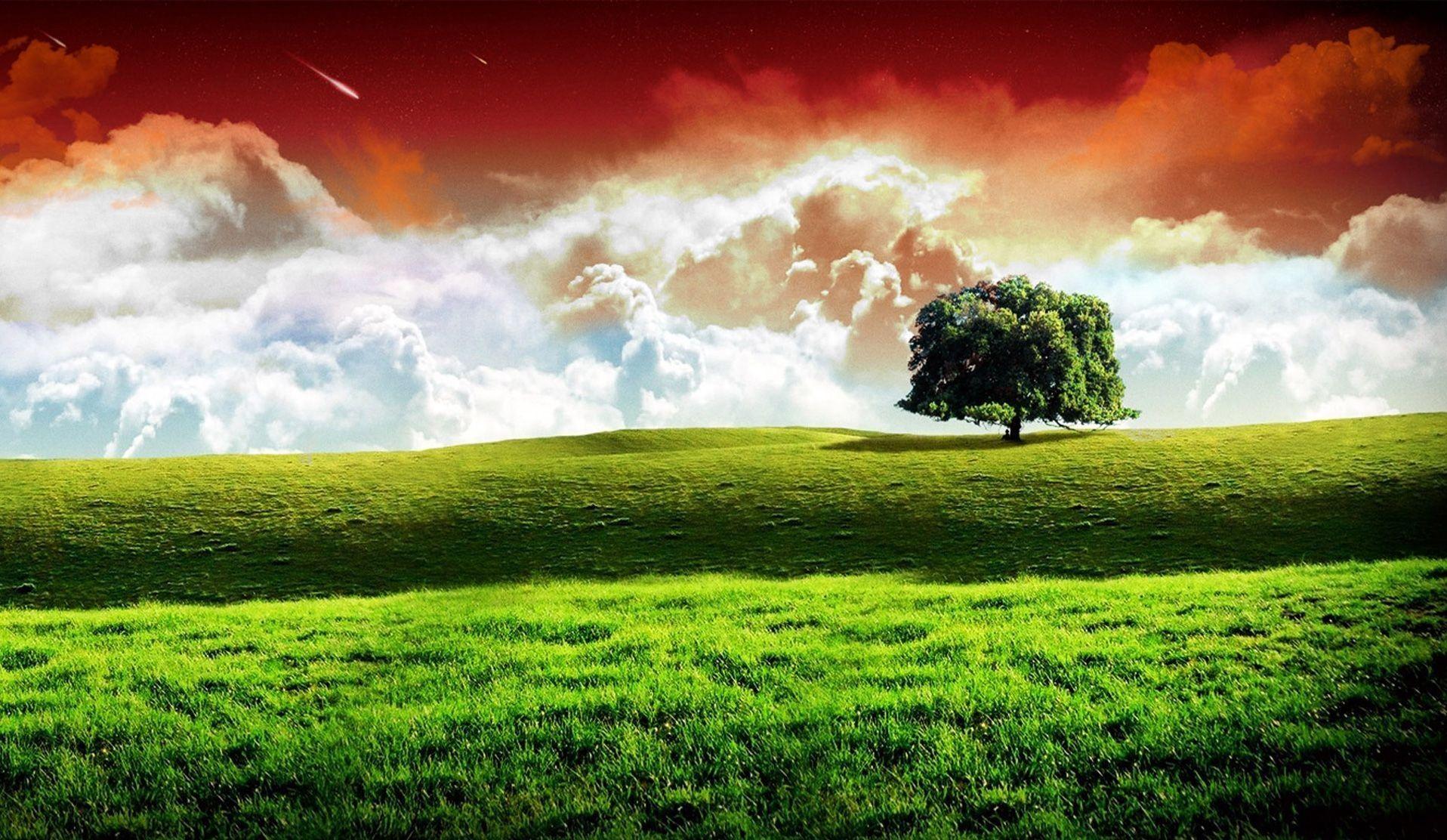 Indian Flag Image, HD Wallpaper [Free Download]