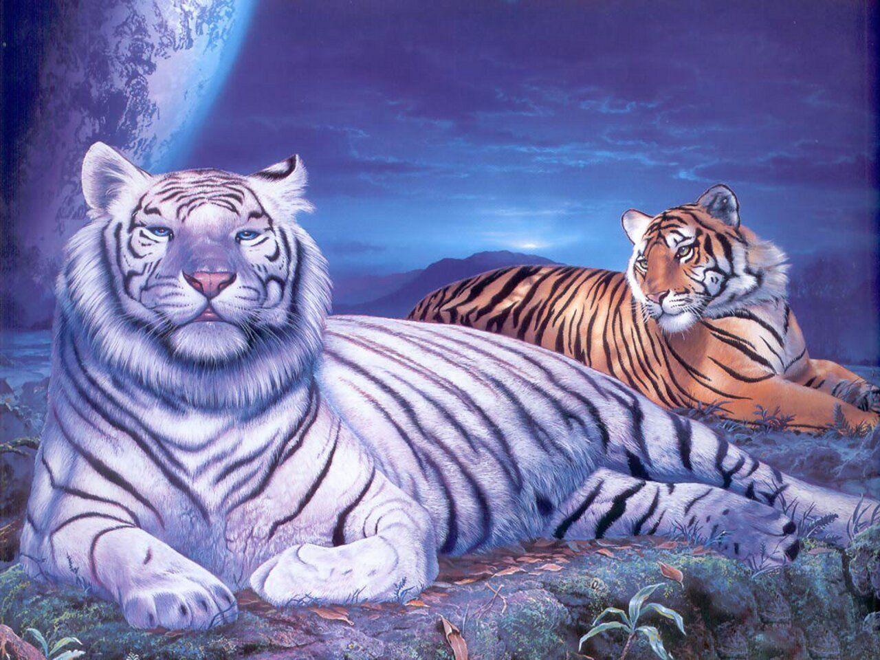 boa noite gifs animados Google. tigers