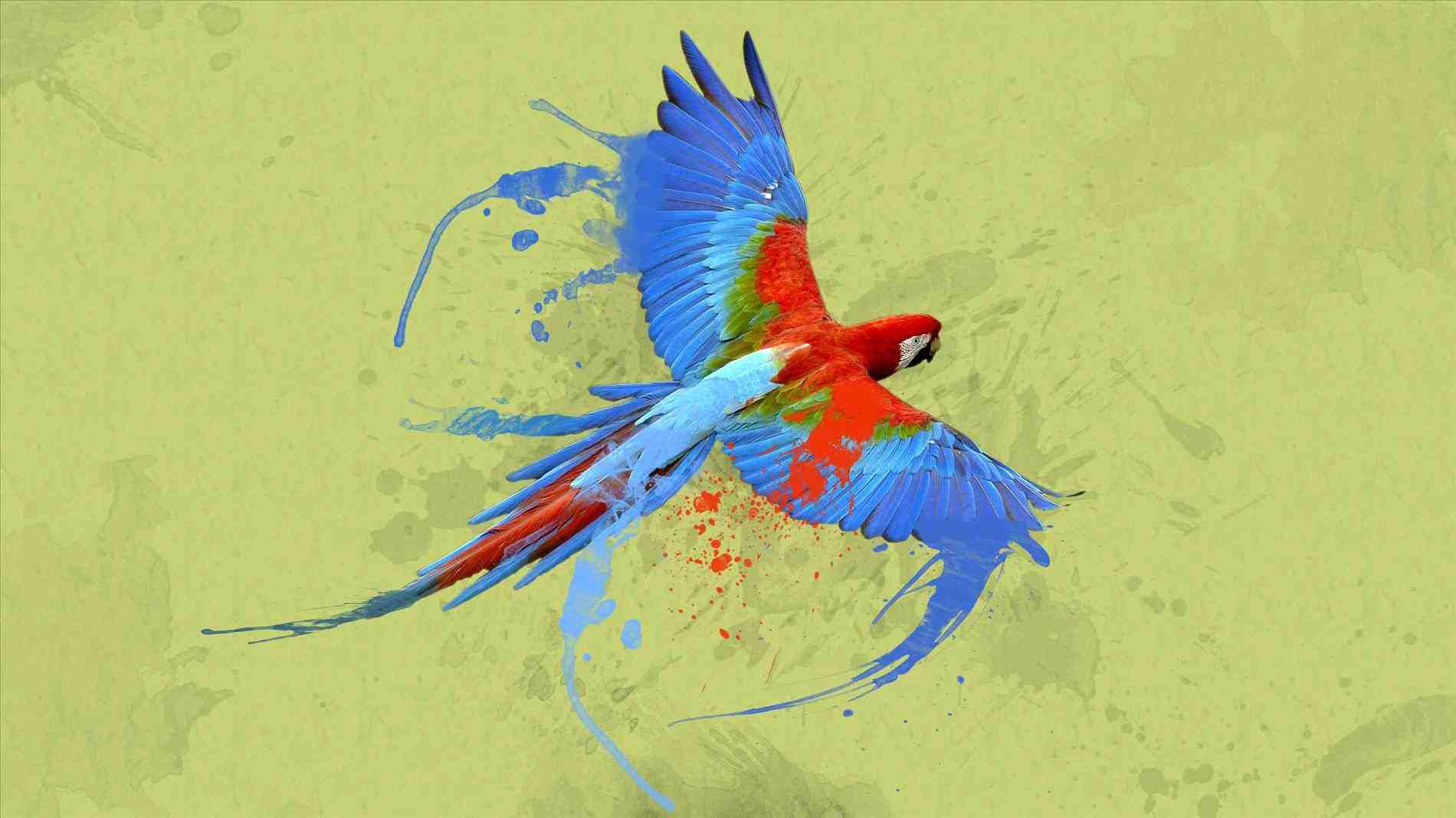Абстрактный фон акварель попугаи