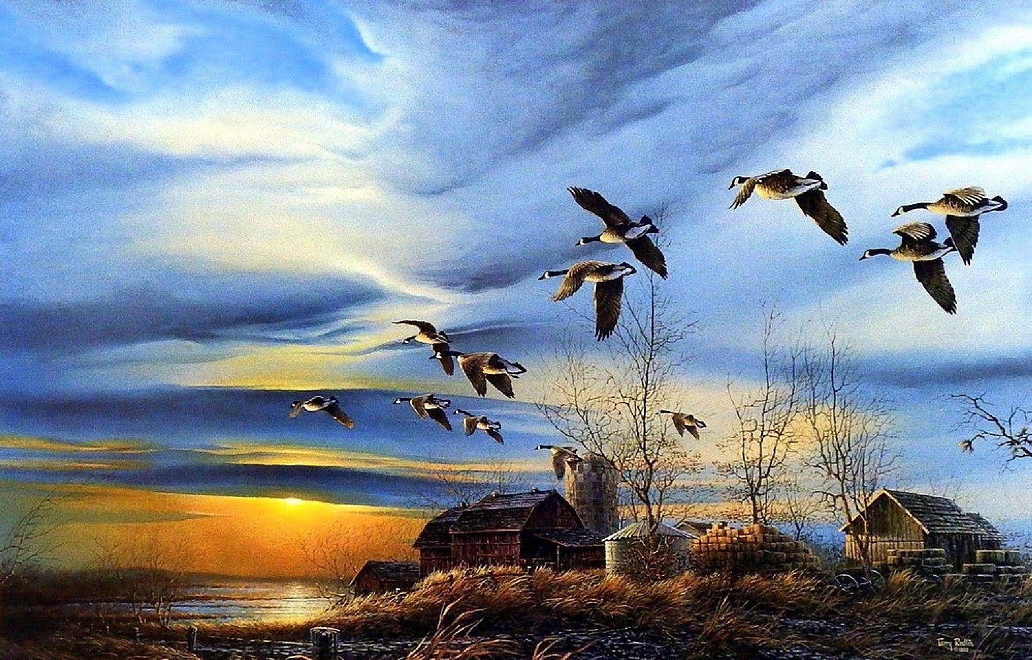 Sunset: Cottages Trees Seasons Birds Paintings Four Clouds Love