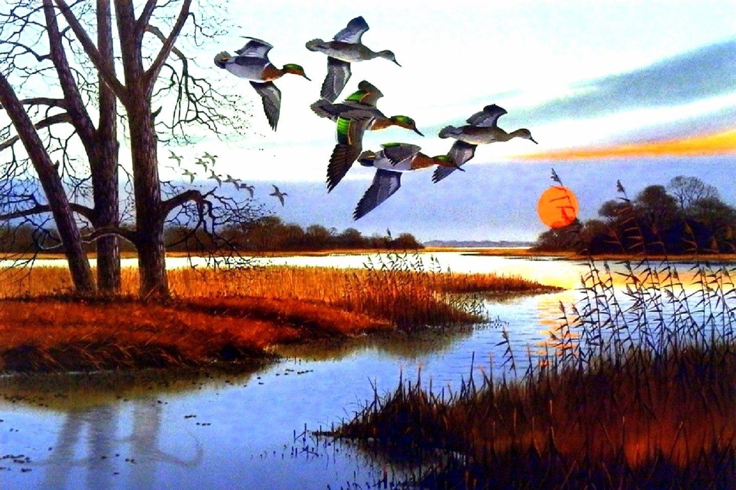 Rivers: Birds Sky Love Seasons Bullets Nature Four Flying