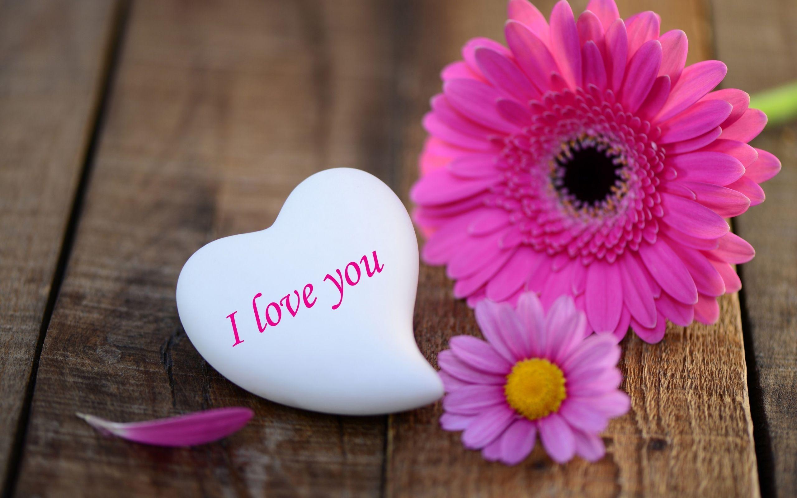 pink daisies heart stone i love you wide wallpaper pink daisies