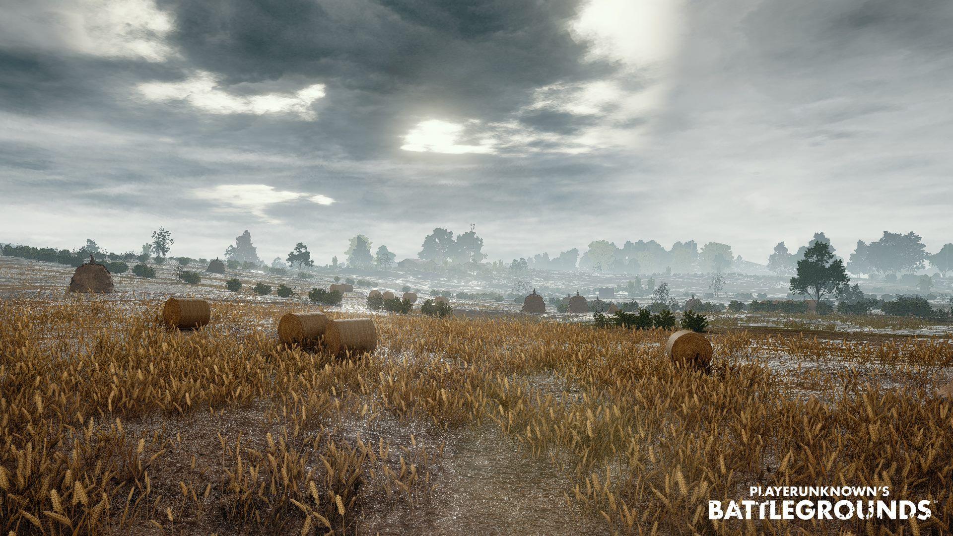 PLAYERUNKNOWN'S BATTLEGROUNDS Background, Picture, Image