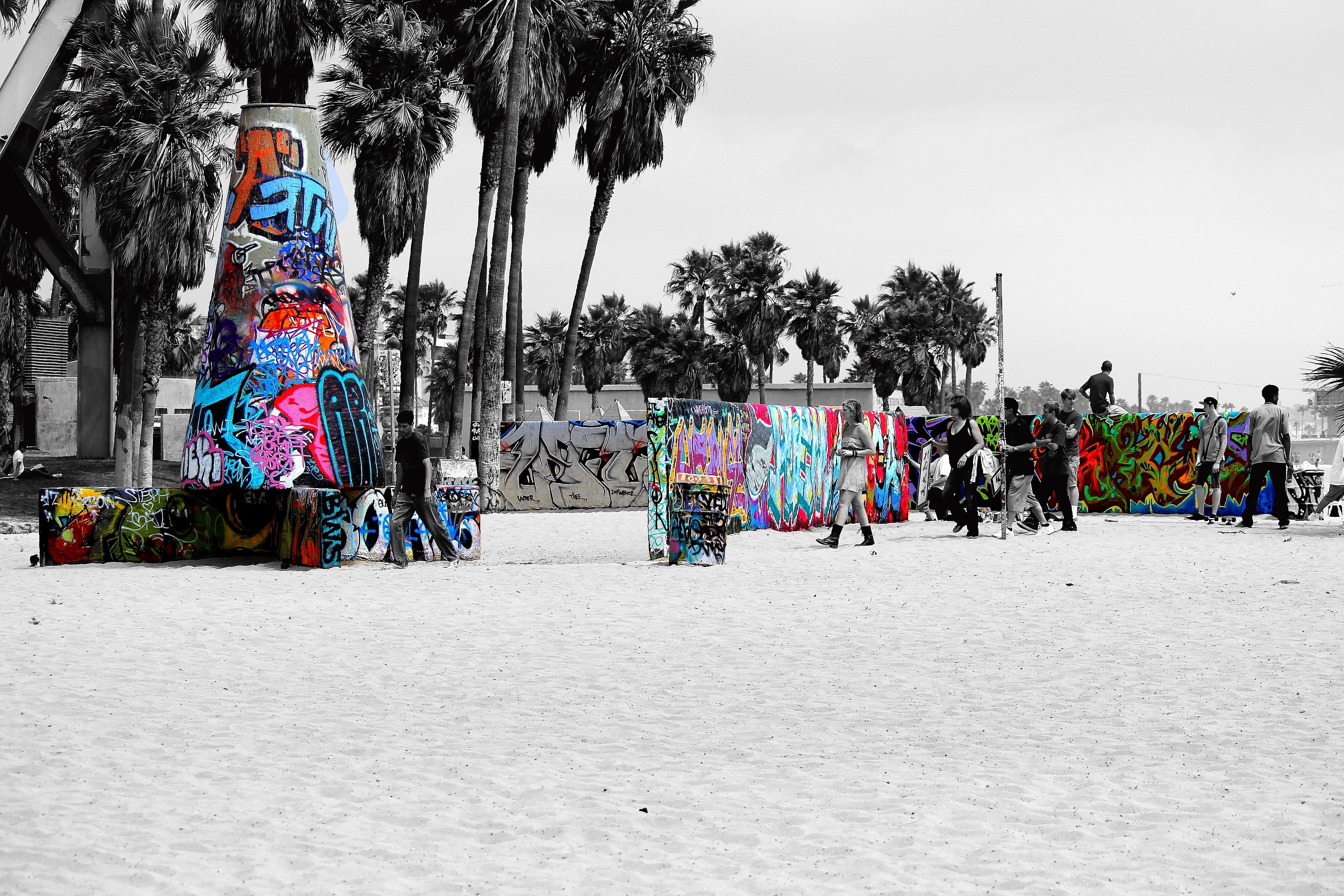 Venice Beach Full HD Wallpaper and Backgroundx2304