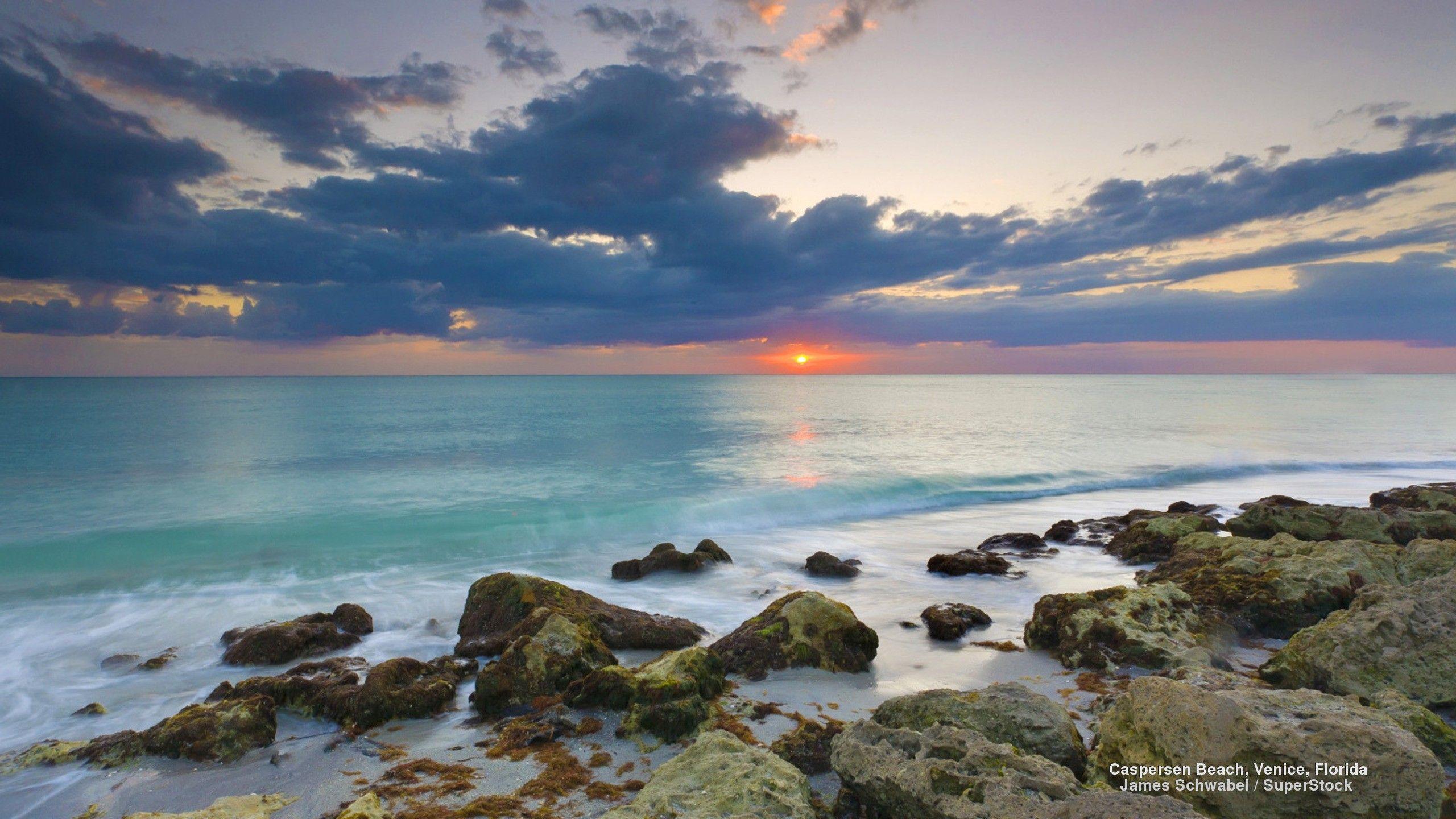 Beach: Clouds Oceans Florida Beaches Gulf Nature Venice Sunsets