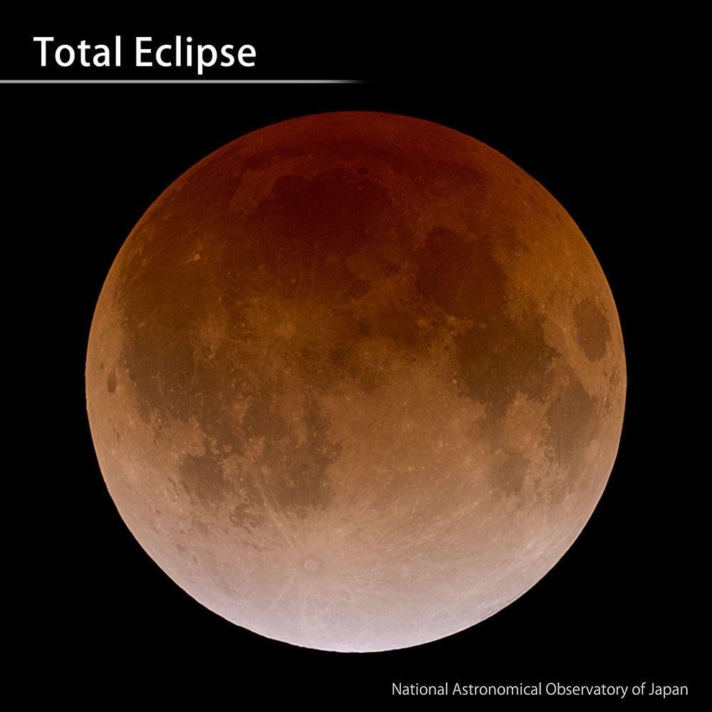 Lunar Eclipse Image Image And Free Download