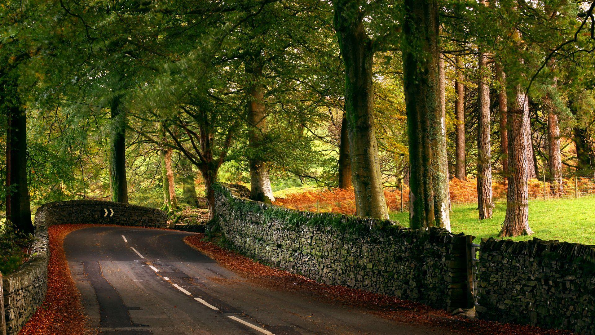 Country Road Wallpaper 7119 1920 x 1080