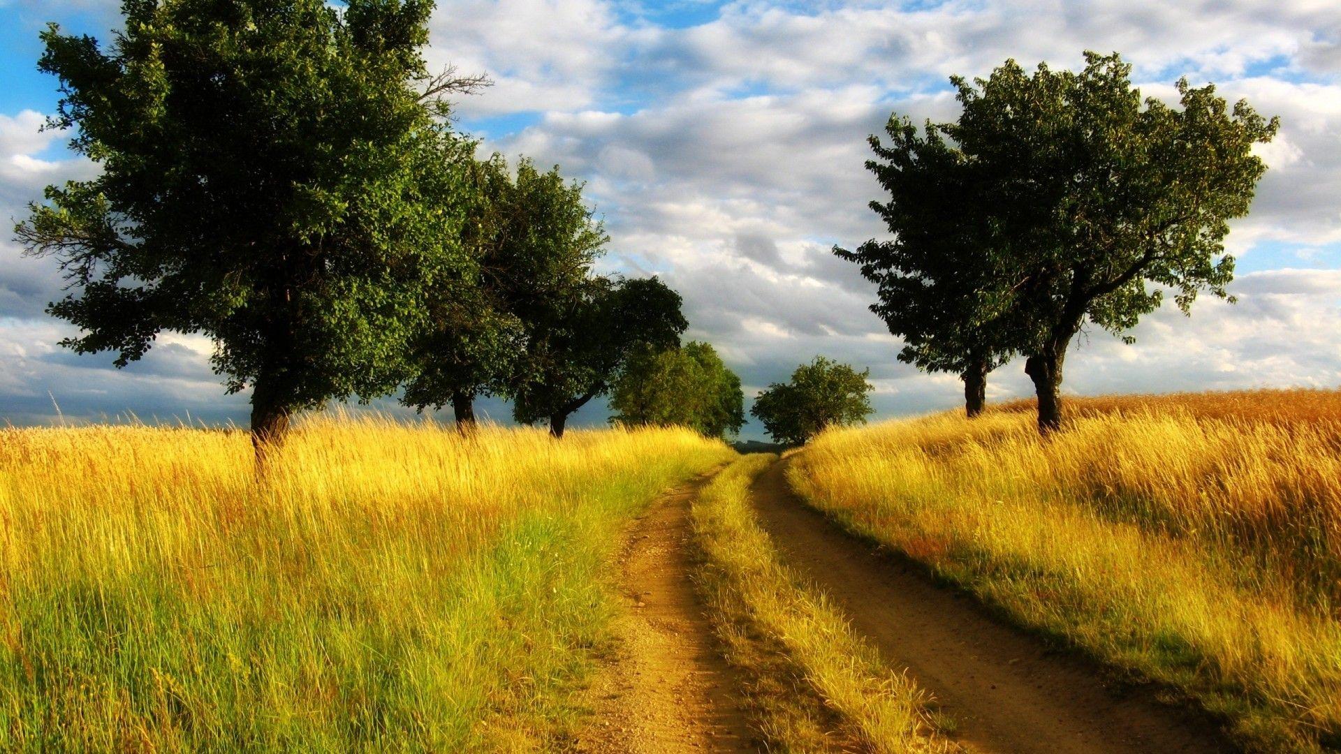 Country Road Wallpaper 7129 1920 x 1080
