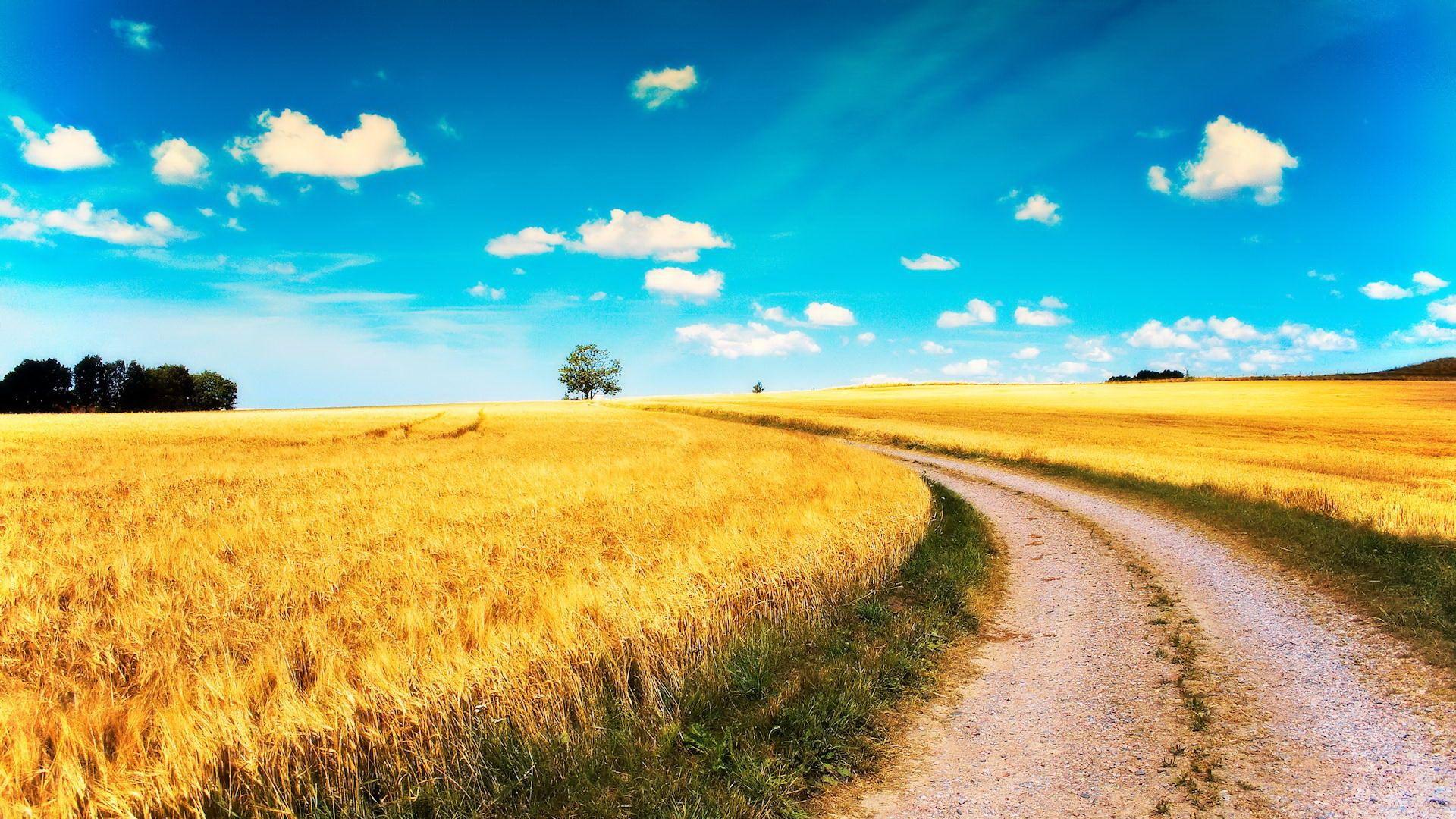 Country Road Wallpaper 7125 1920 x 1080
