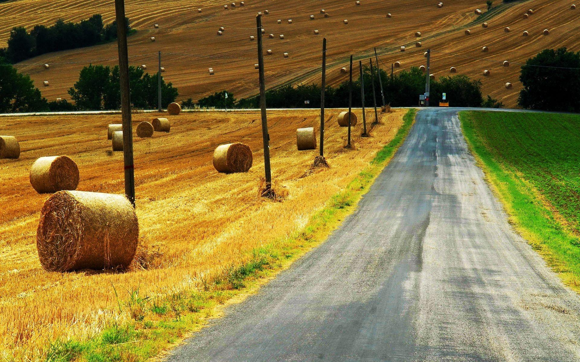 Field: Country Road Harvest Autumn Bales Telegraph Straw Wallpaper