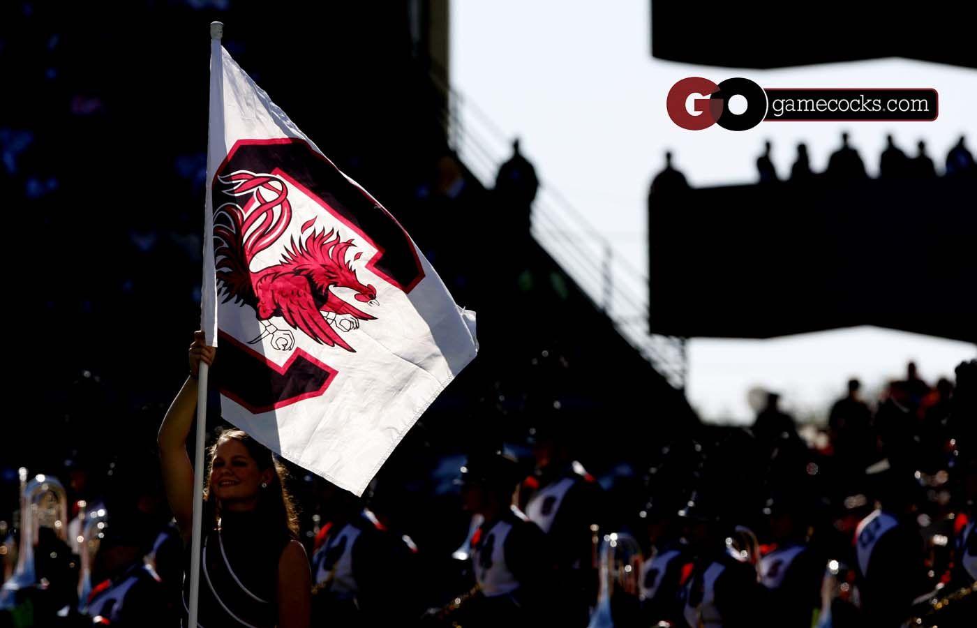 Carolina Gamecock Wallpaper Wallpaper. HD Wallpaper