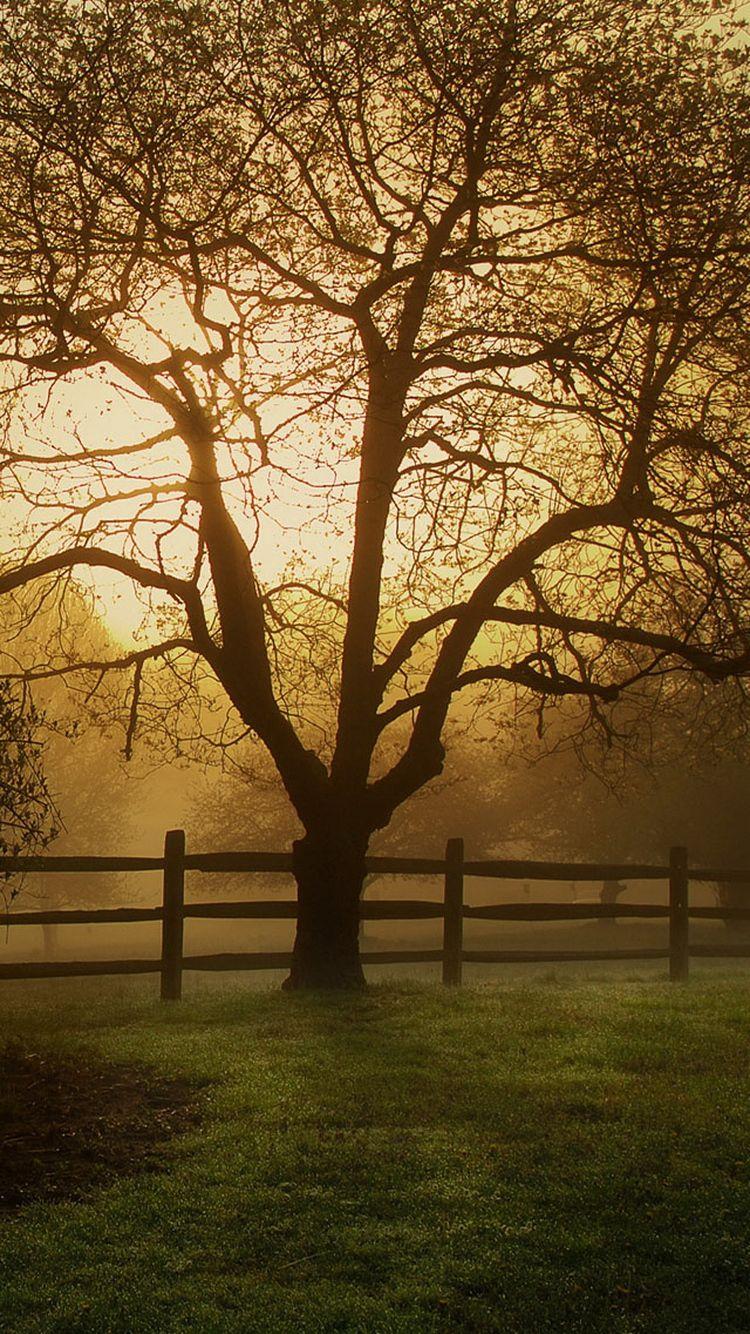 Old Farmhouse Wallpaper. wallpaper. Farmhouse