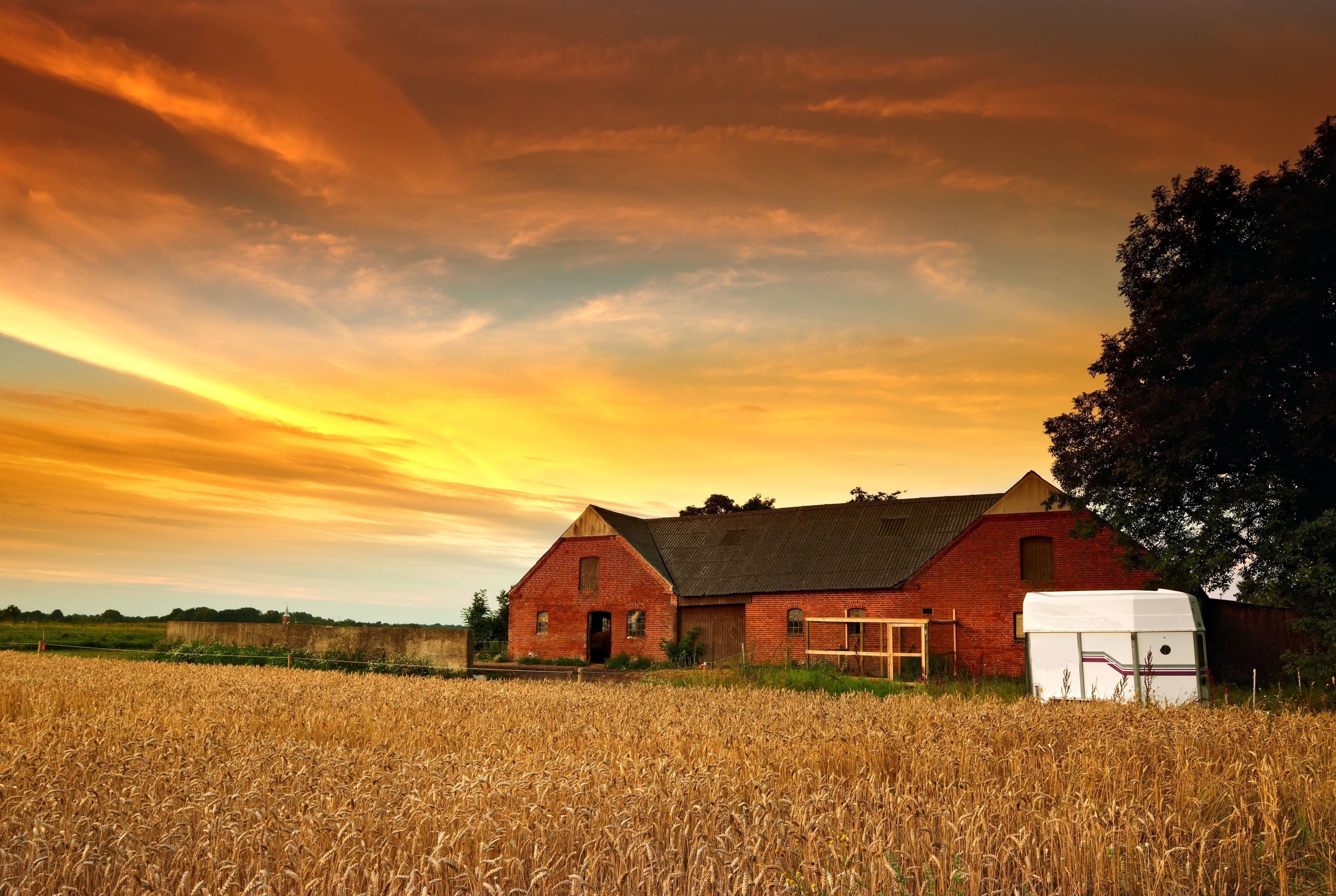 nature, Farm, Sun Wallpaper HD / Desktop and Mobile Background