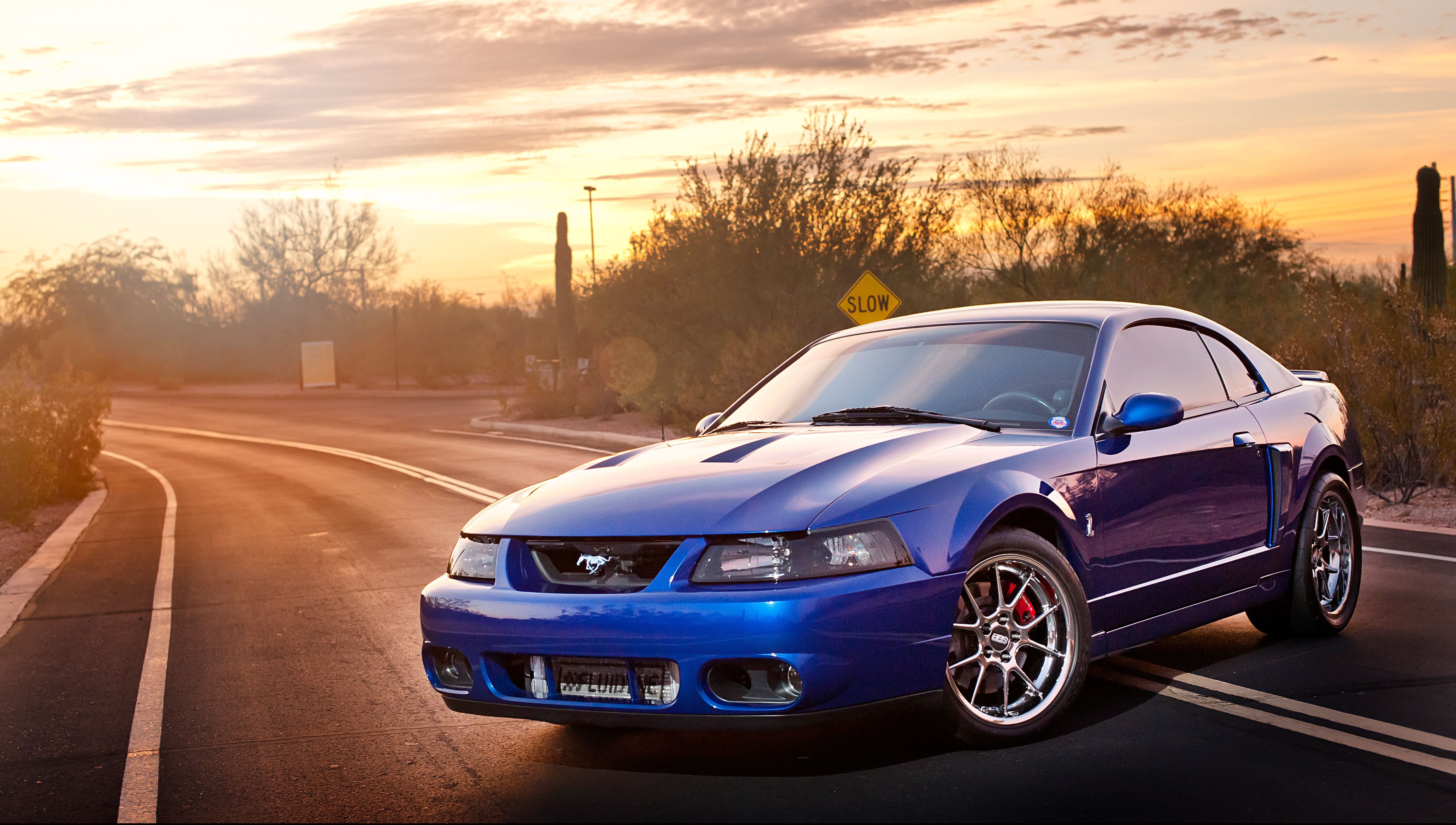 2003 Cobra Terminator Wallpapers Wallpaper Cave