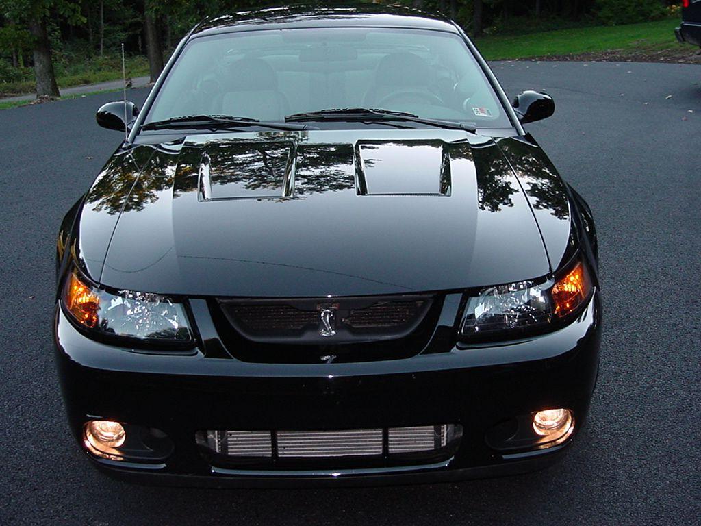 or 2004 mustang cobra trying to entagonize me