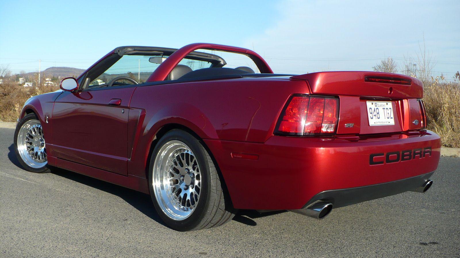 Ford SVT Mustang Cobra Convertible related infomation