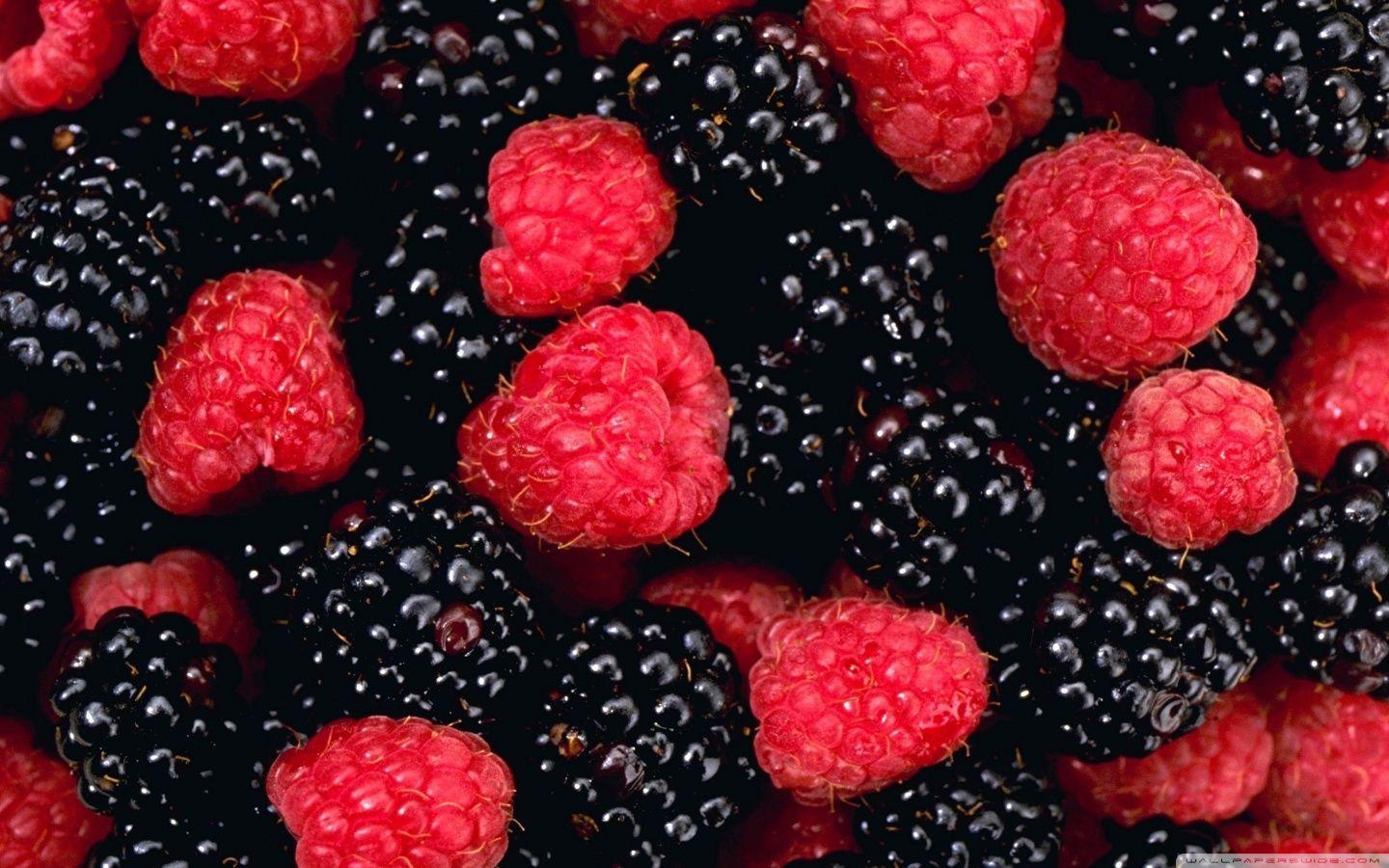 Berries Wallpapers - Wallpaper Cave