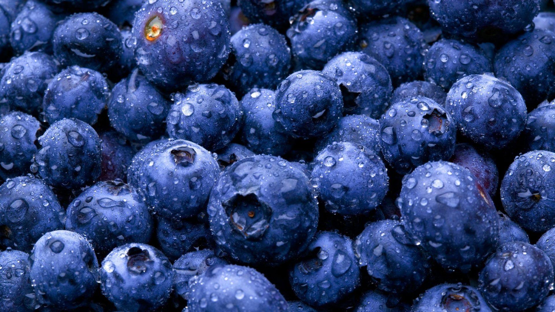 Food Tag wallpaper: Nature Water Fruits Drops Blueberries Food