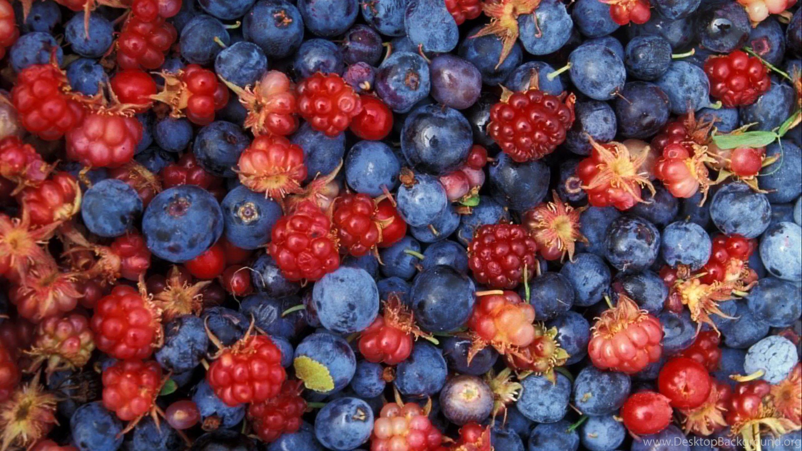 Berries Wallpaper Desktop Background