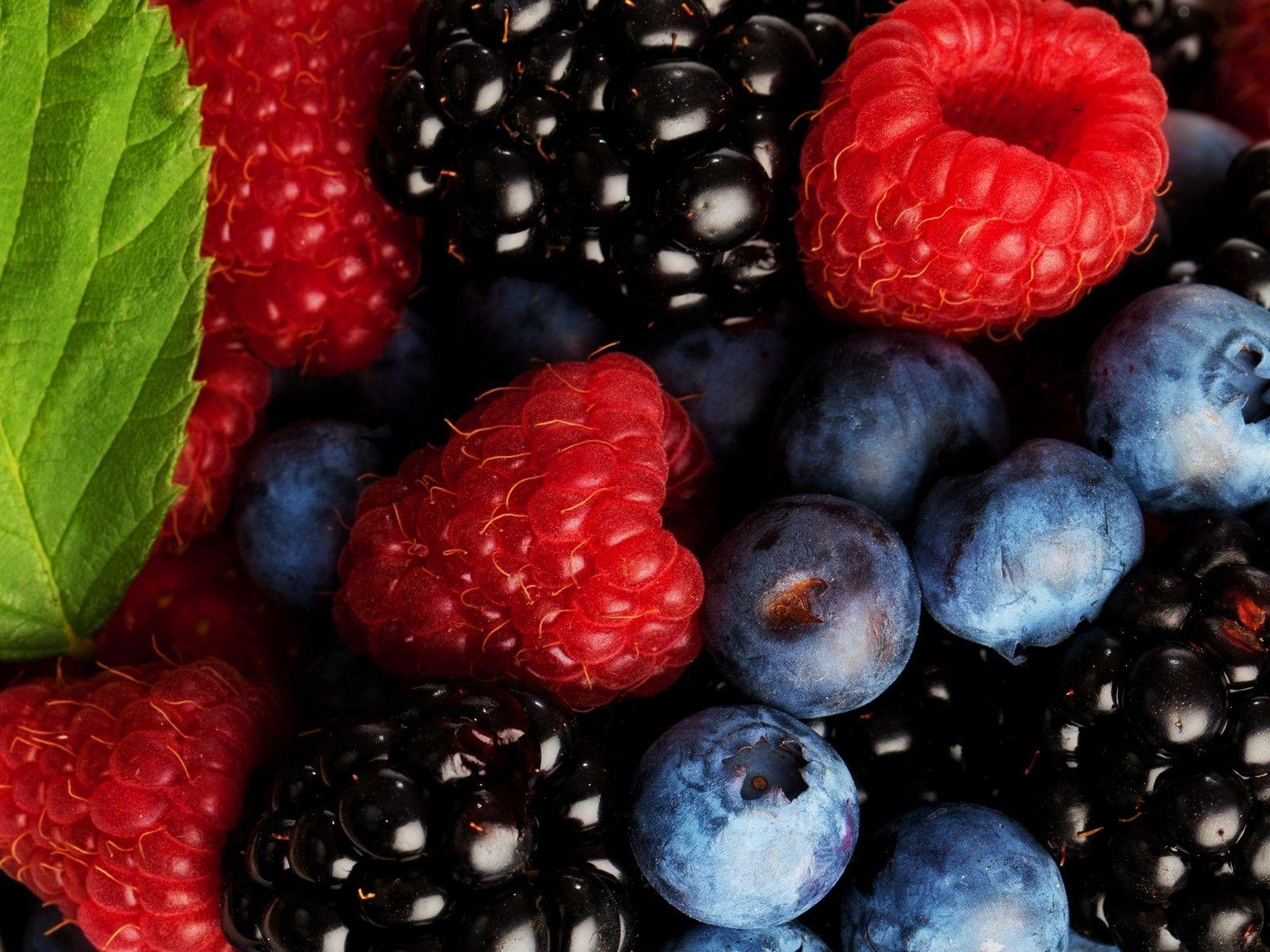 Berries Wallpapers - Wallpaper Cave