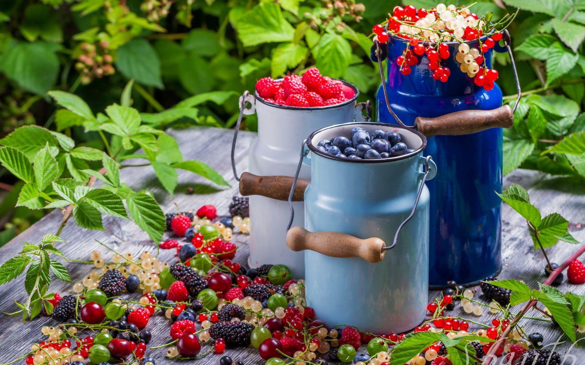 collection of wild berries berries summer food HD wallpaper