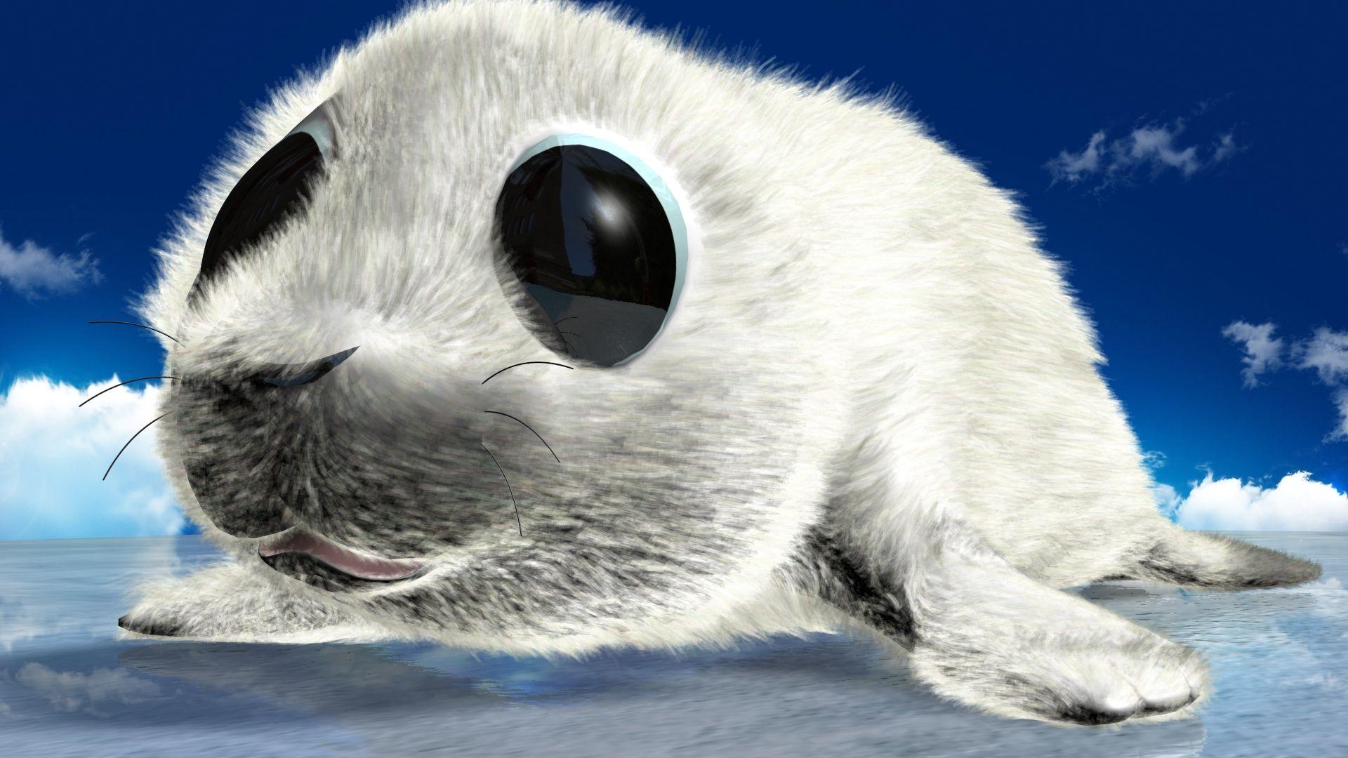 baby seal wallpaper