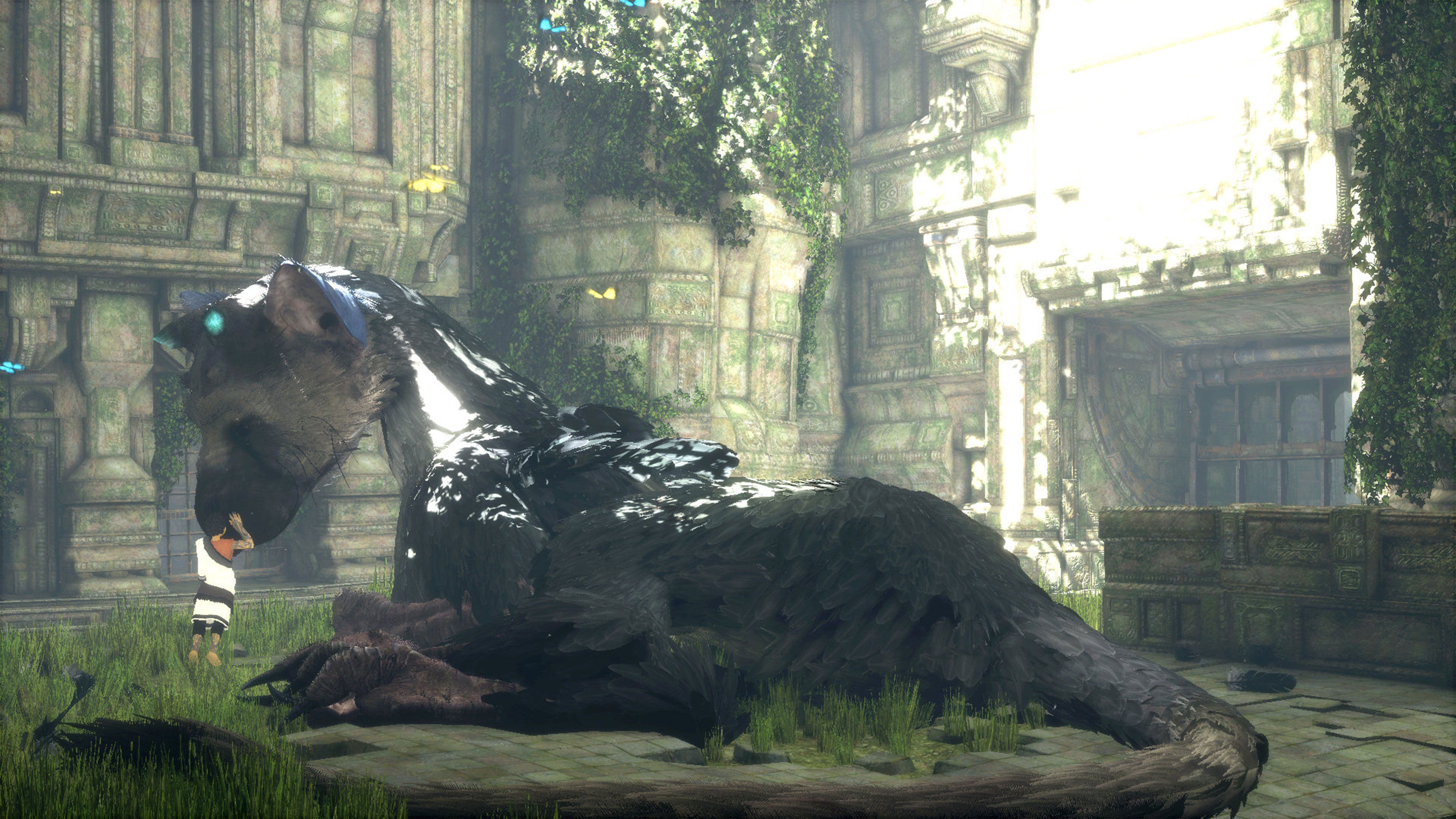 The last guardian - Fantasy & Abstract Background Wallpapers on Desktop  Nexus (Image 2711629)