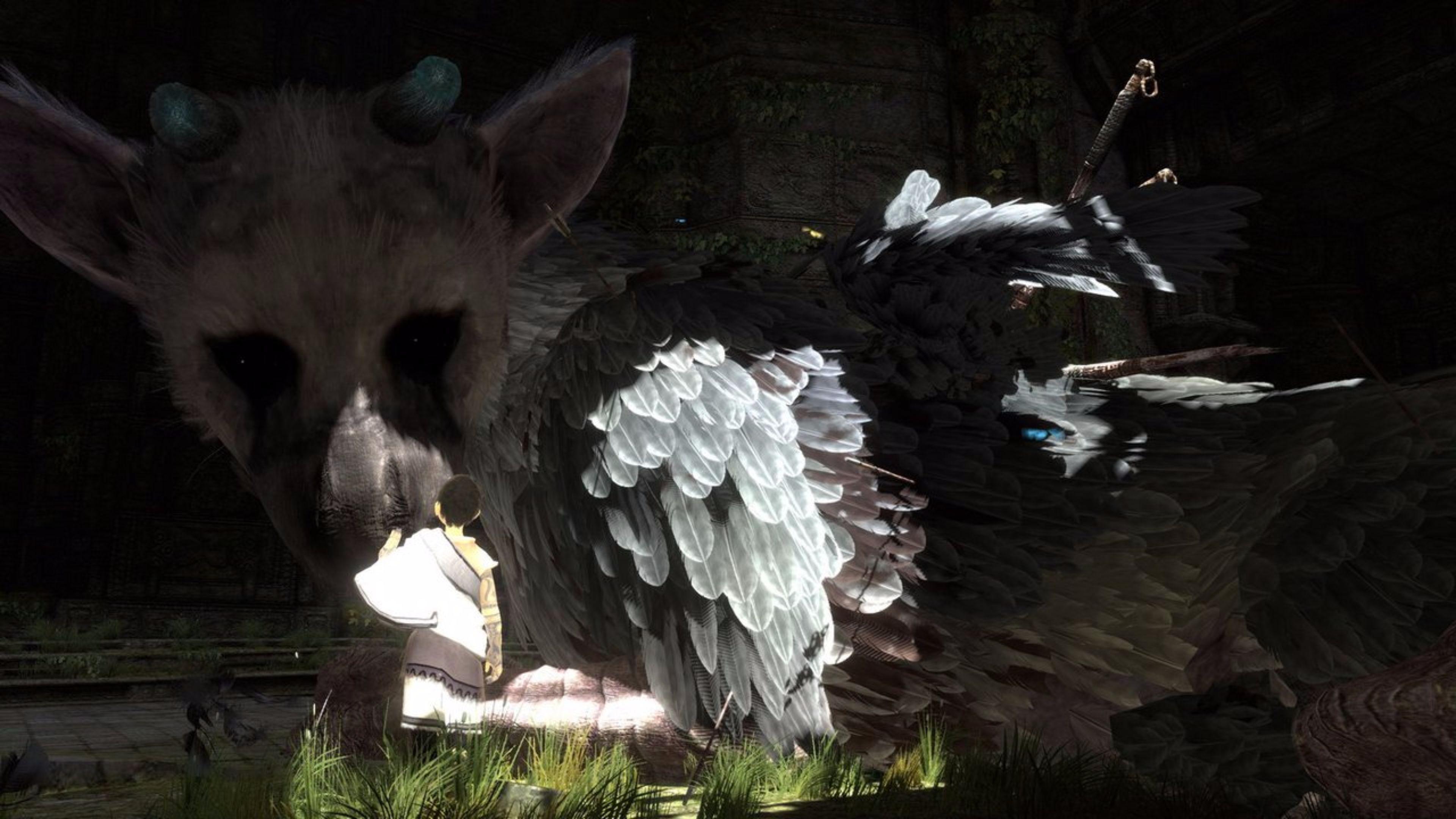 The Last Guardian Wallpapers Wallpaper Cave