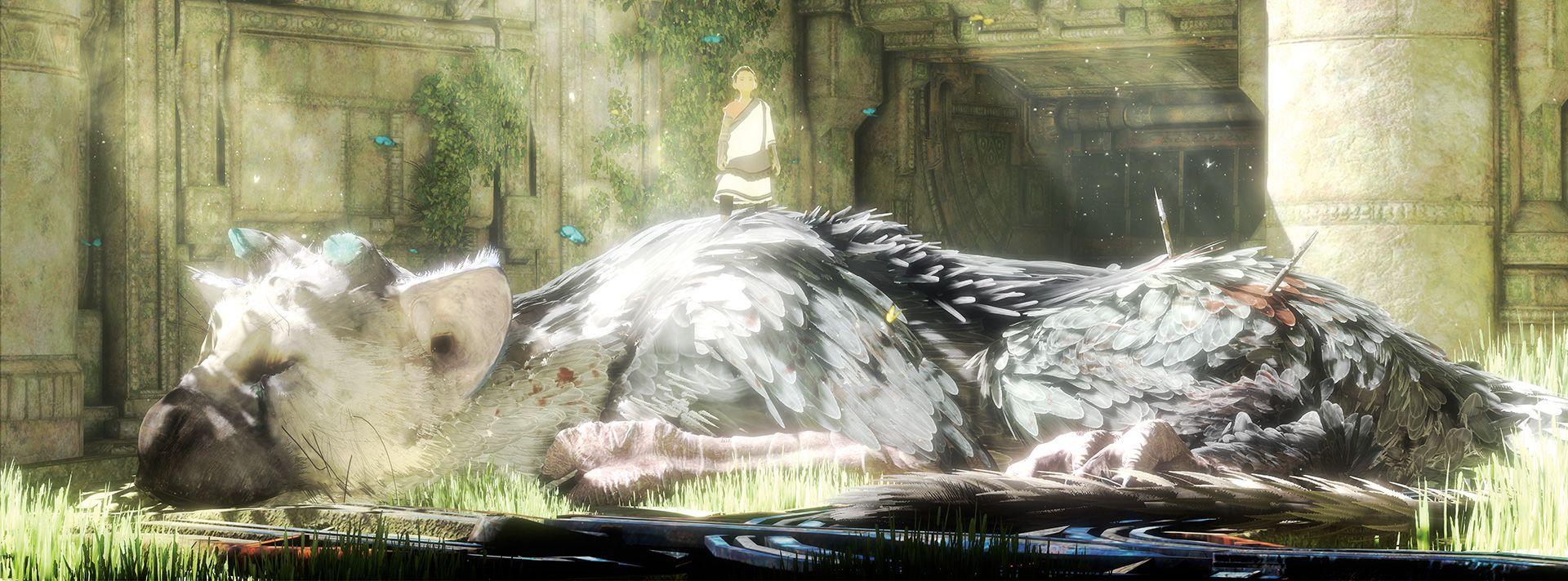 3840x2160 the last guardian 4k pc hd wallpaper download