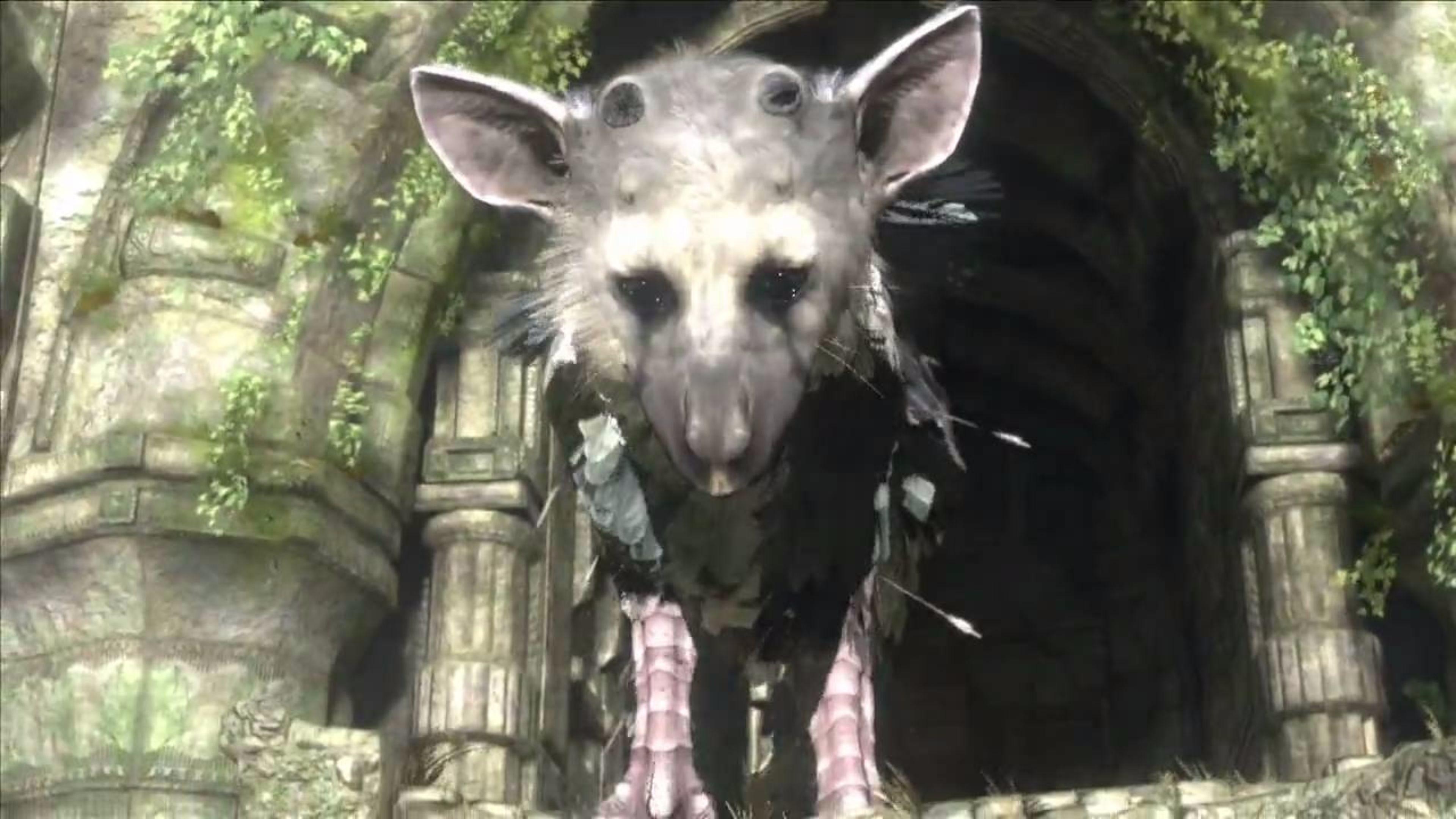 E3 Announcement The Last Guardian 4K Wallpaper. Free 4K Wallpaper