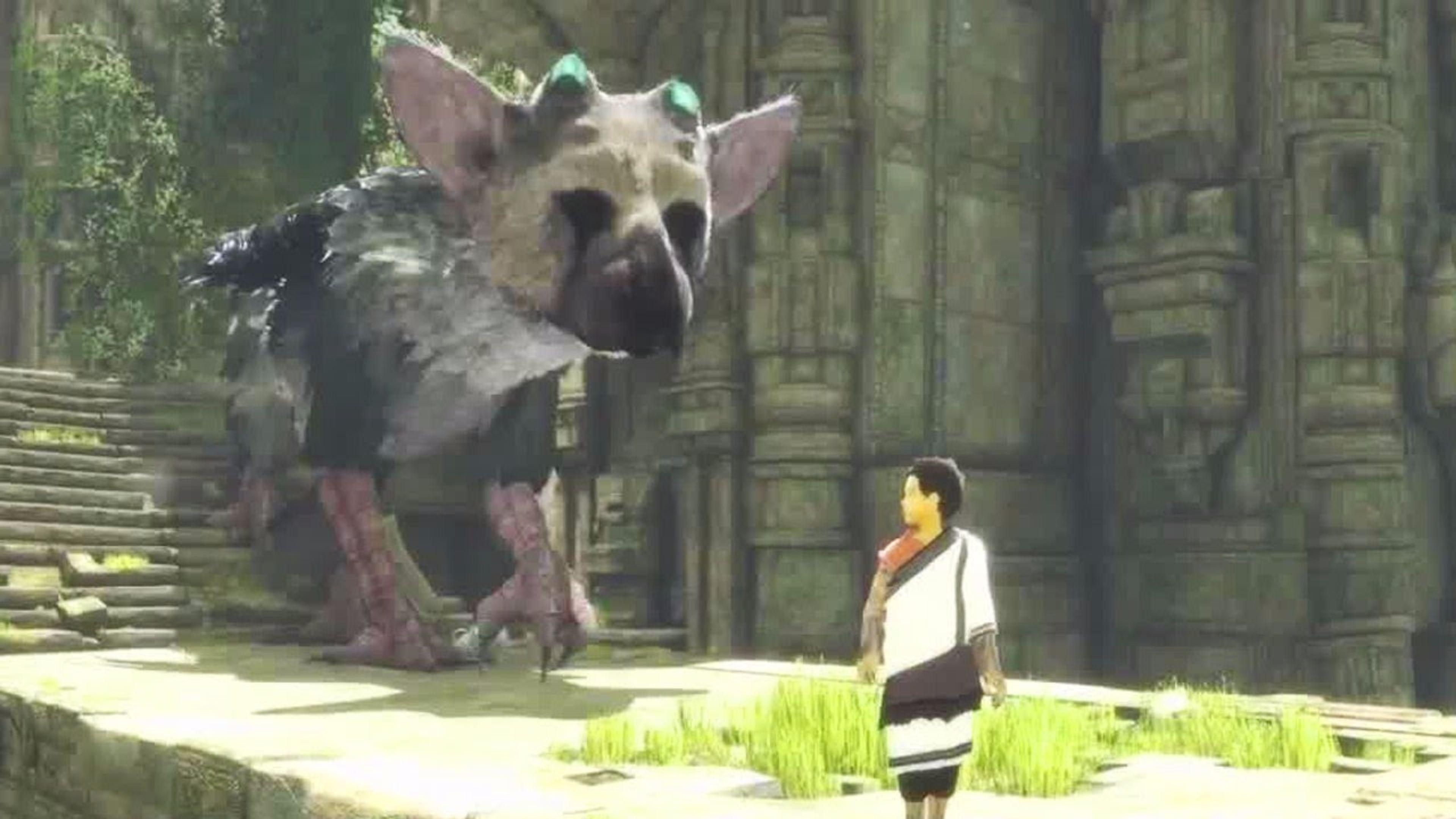 20+ The Last Guardian HD Wallpapers and Backgrounds