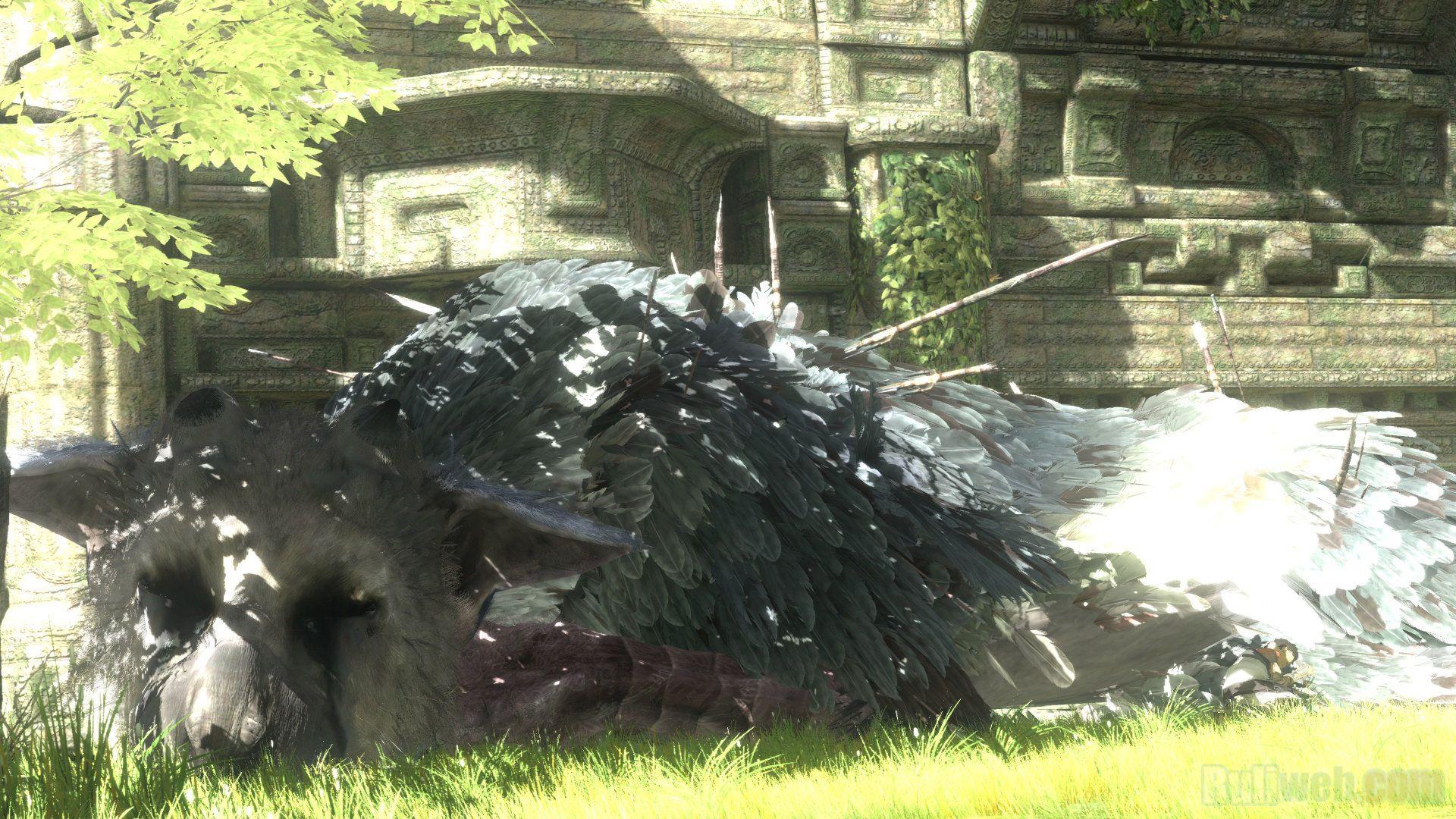 The Last Guardian Full HD Wallpaper and Backgroundx1080