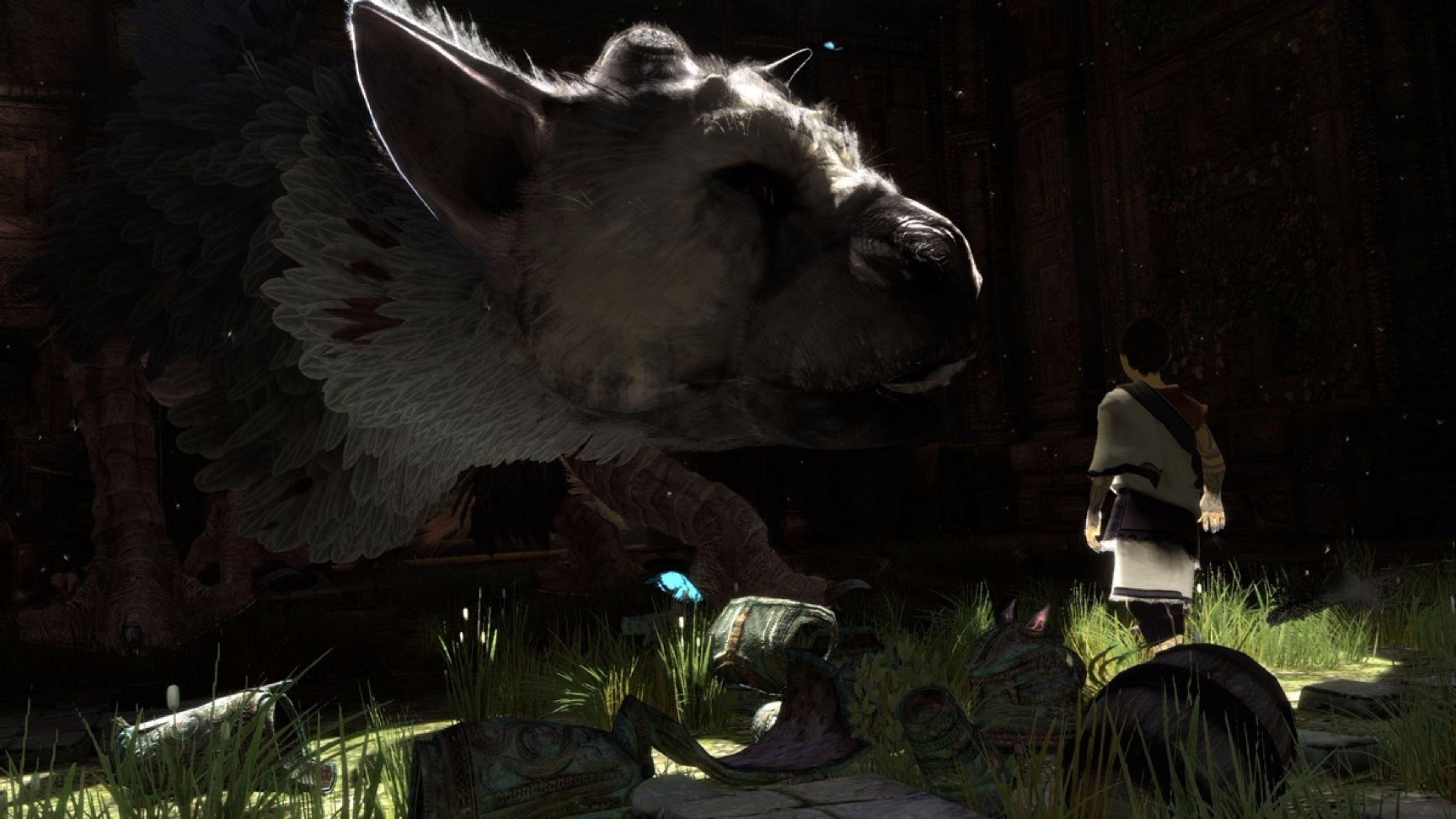 20+ The Last Guardian HD Wallpapers and Backgrounds