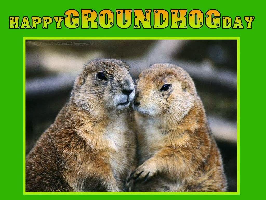 Very Best Groundhog Day Picture And Image