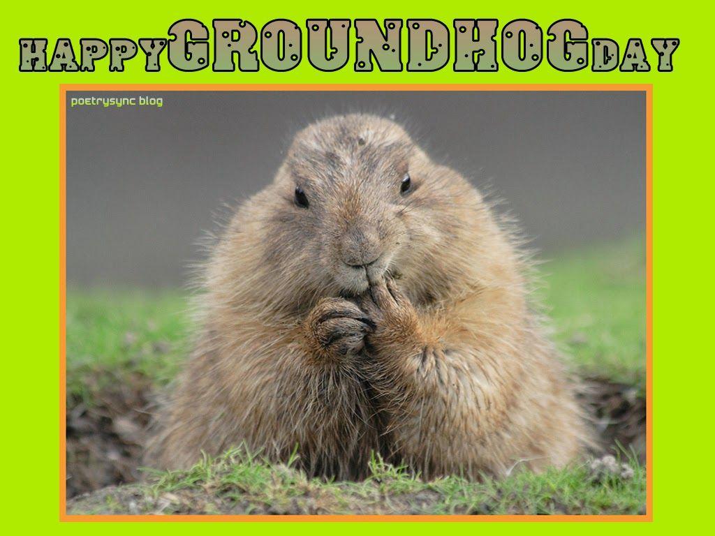Wish You Happy Groundhog Day