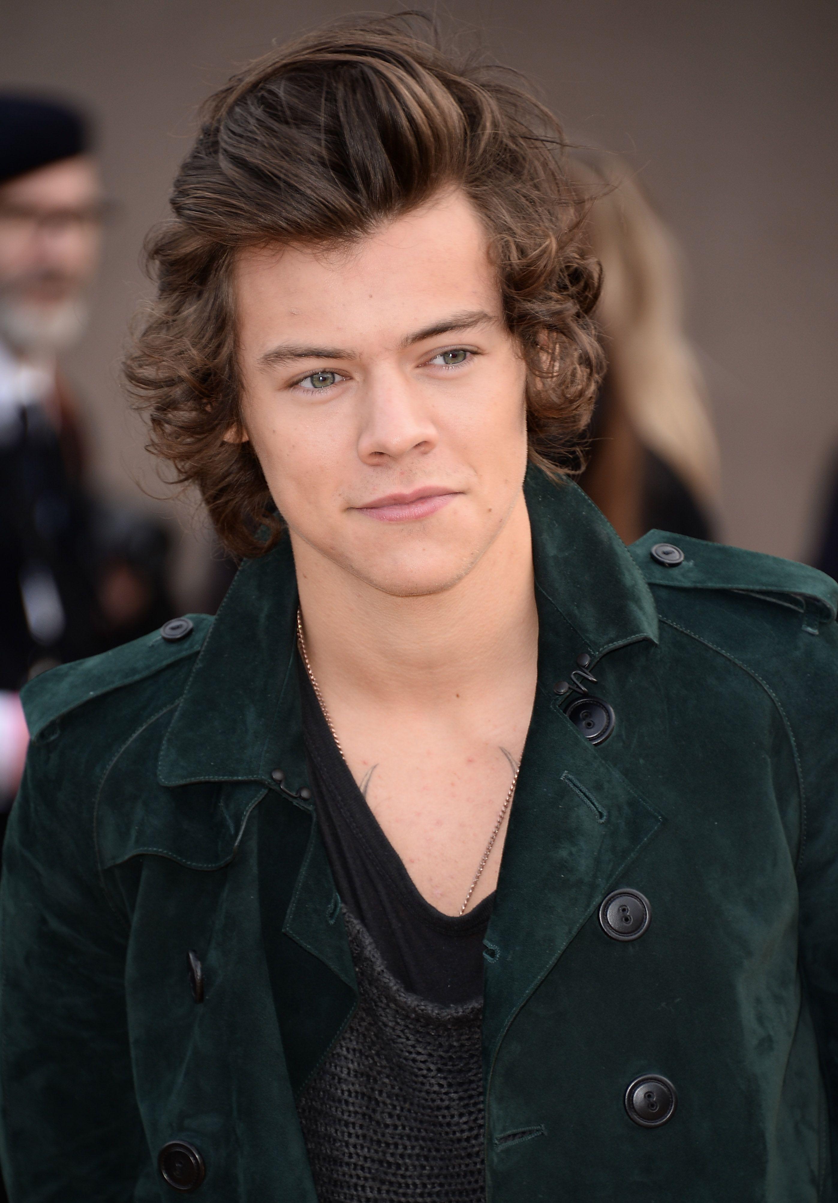 The Harry Styles Shirtless & Nearly Nude Photo Superlatives You