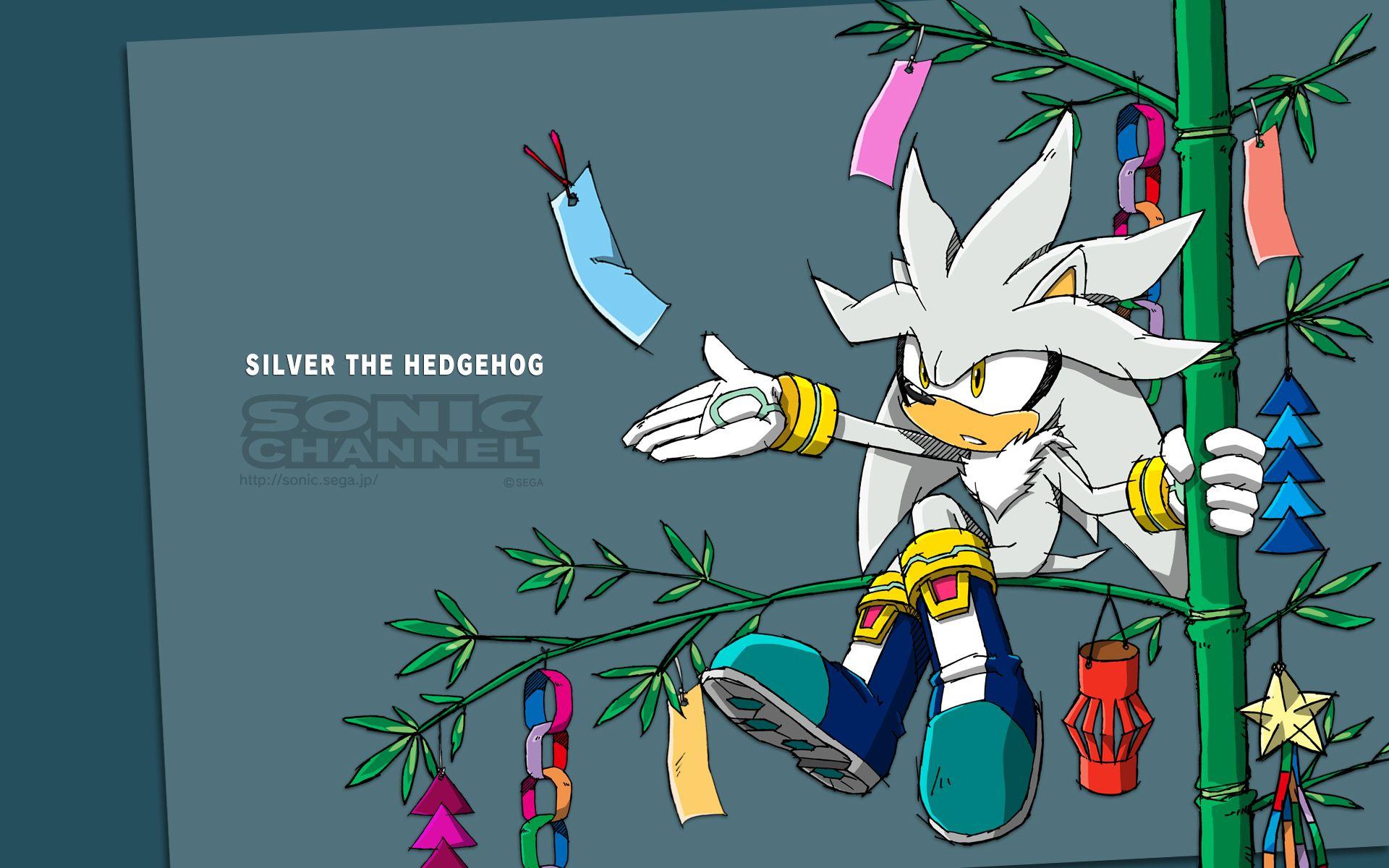 Sonic the Hedgehog Full HD Wallpaper and Backgroundx1200