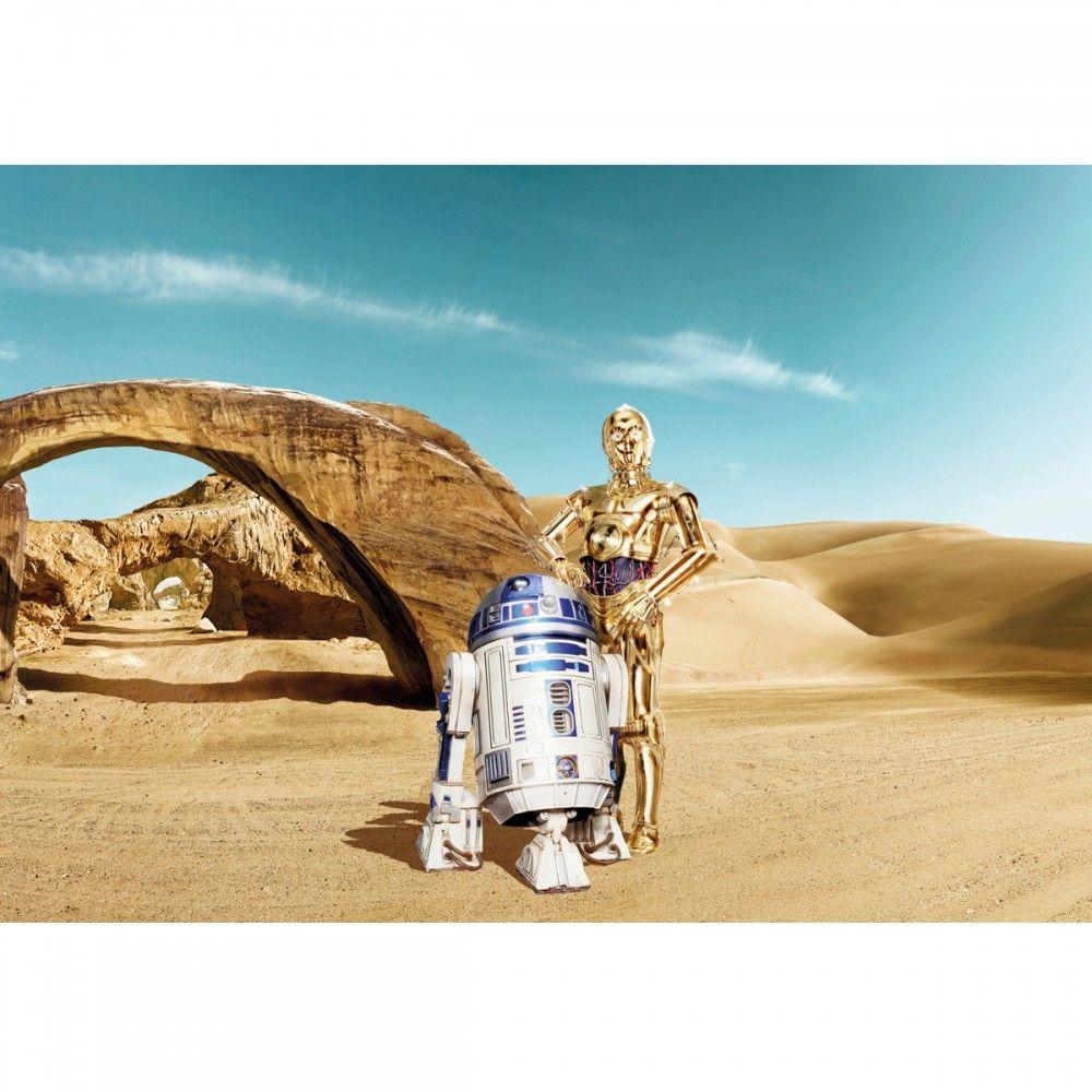 Star Wars R2D2 & C3PO Wallpaper X 254 Cm. Great Kidsbedrooms