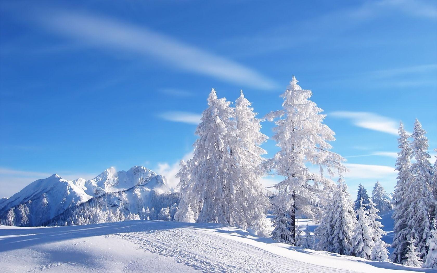 Snow Wallpaper Winter Nature Wallpaper in jpg format for free