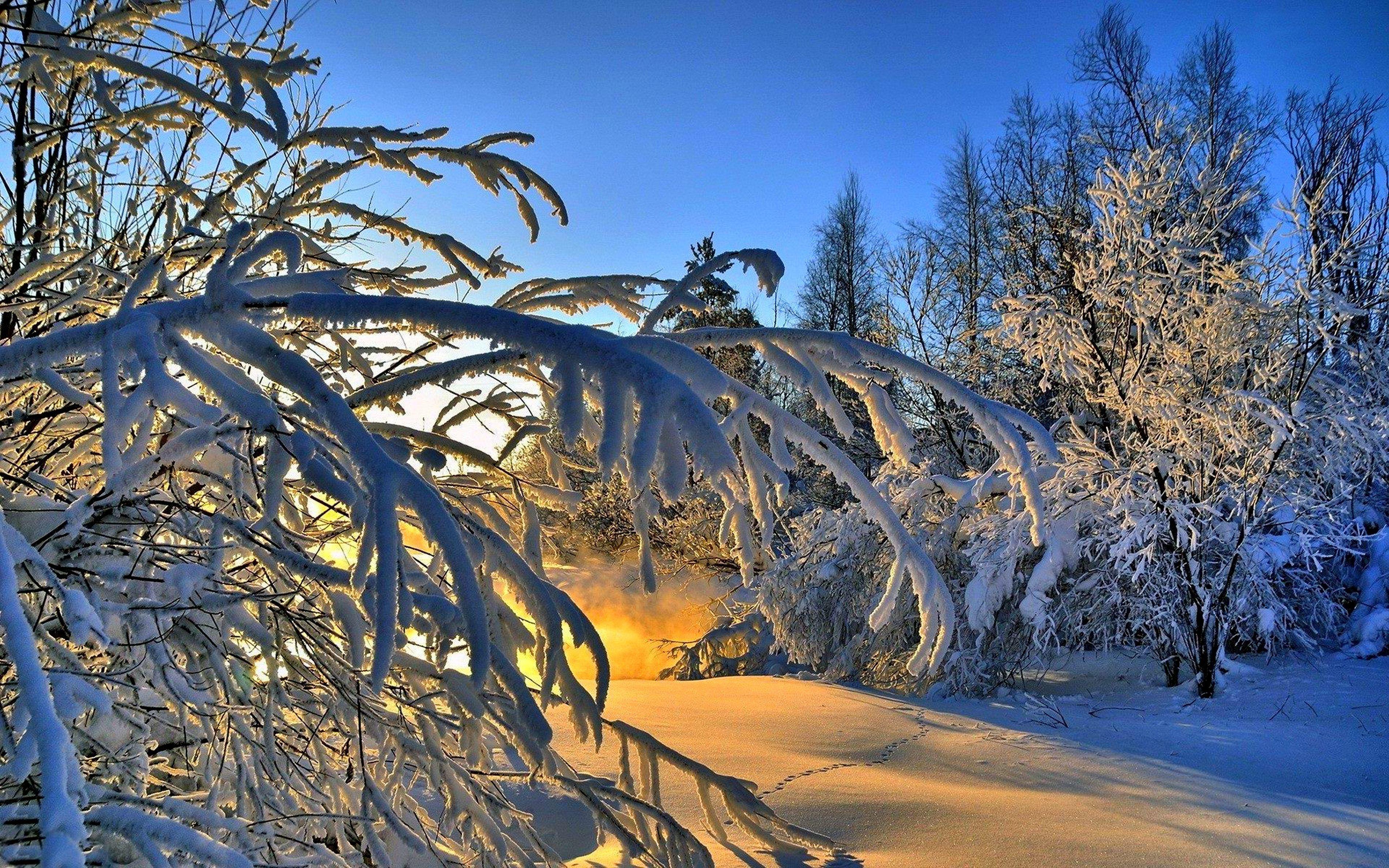 Красивая природа февраль. Зимняя природа. Зимний пейзаж на рабочий стол. Зимний лес. Красивая зима.