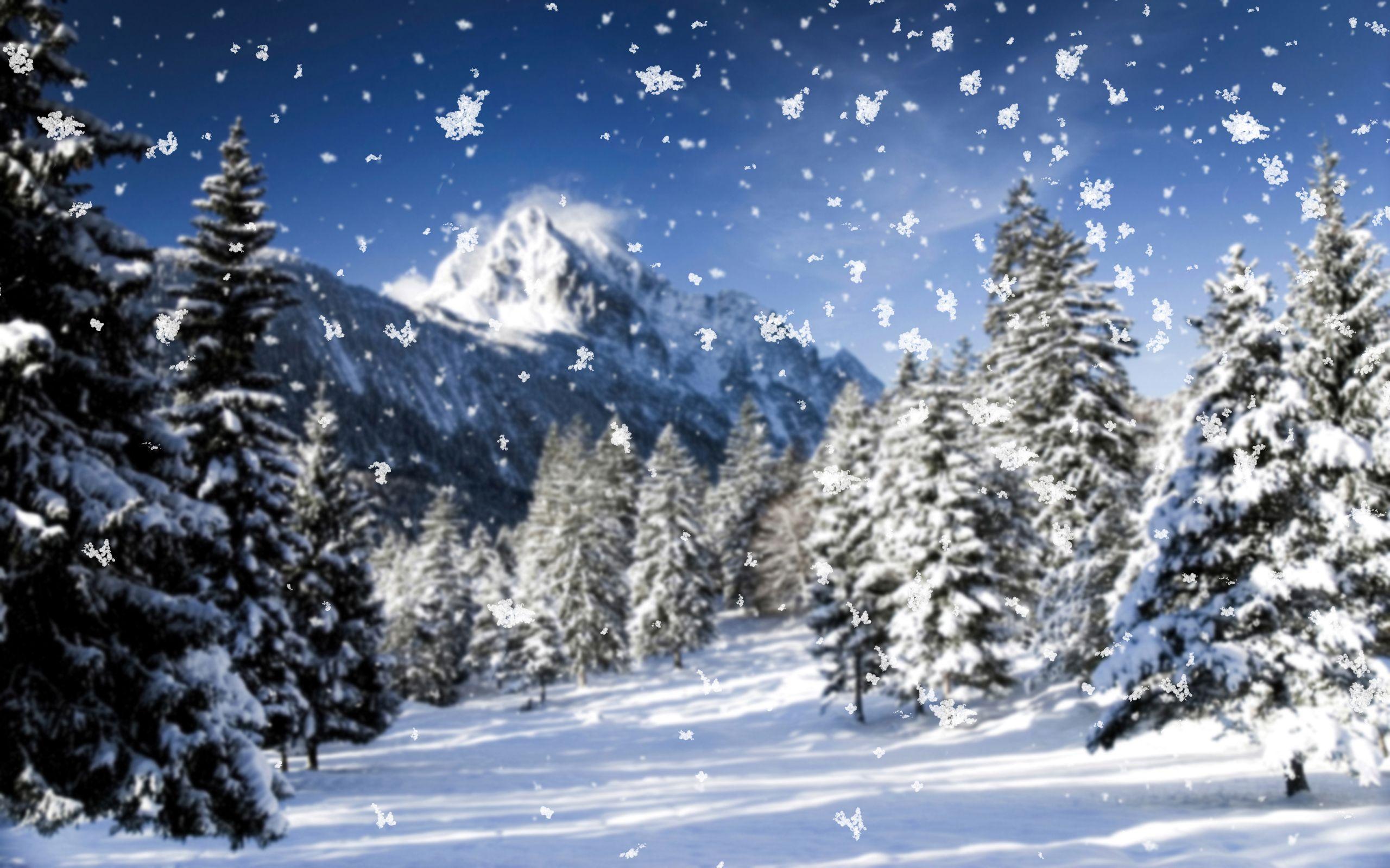 Winter Nature Mountains Snow Seasons 2560x1600