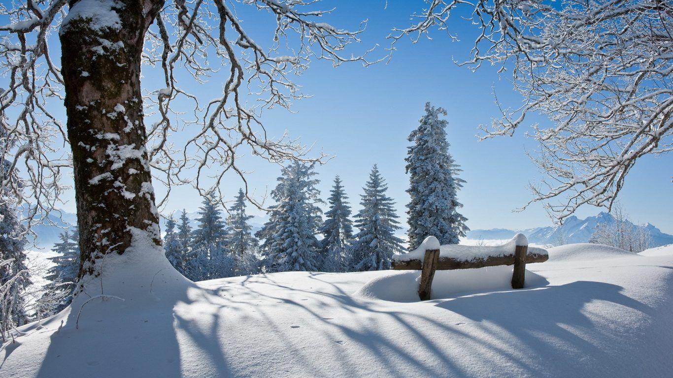 Winter: Beautiful Winter Snow Trees Nature Large Desktop