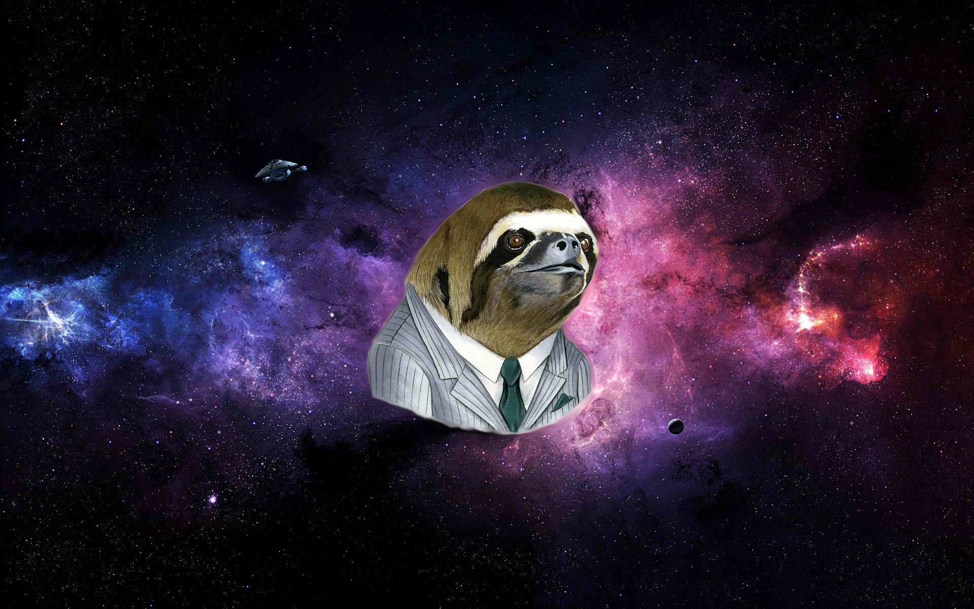 quirky sloth desktop wallpaper