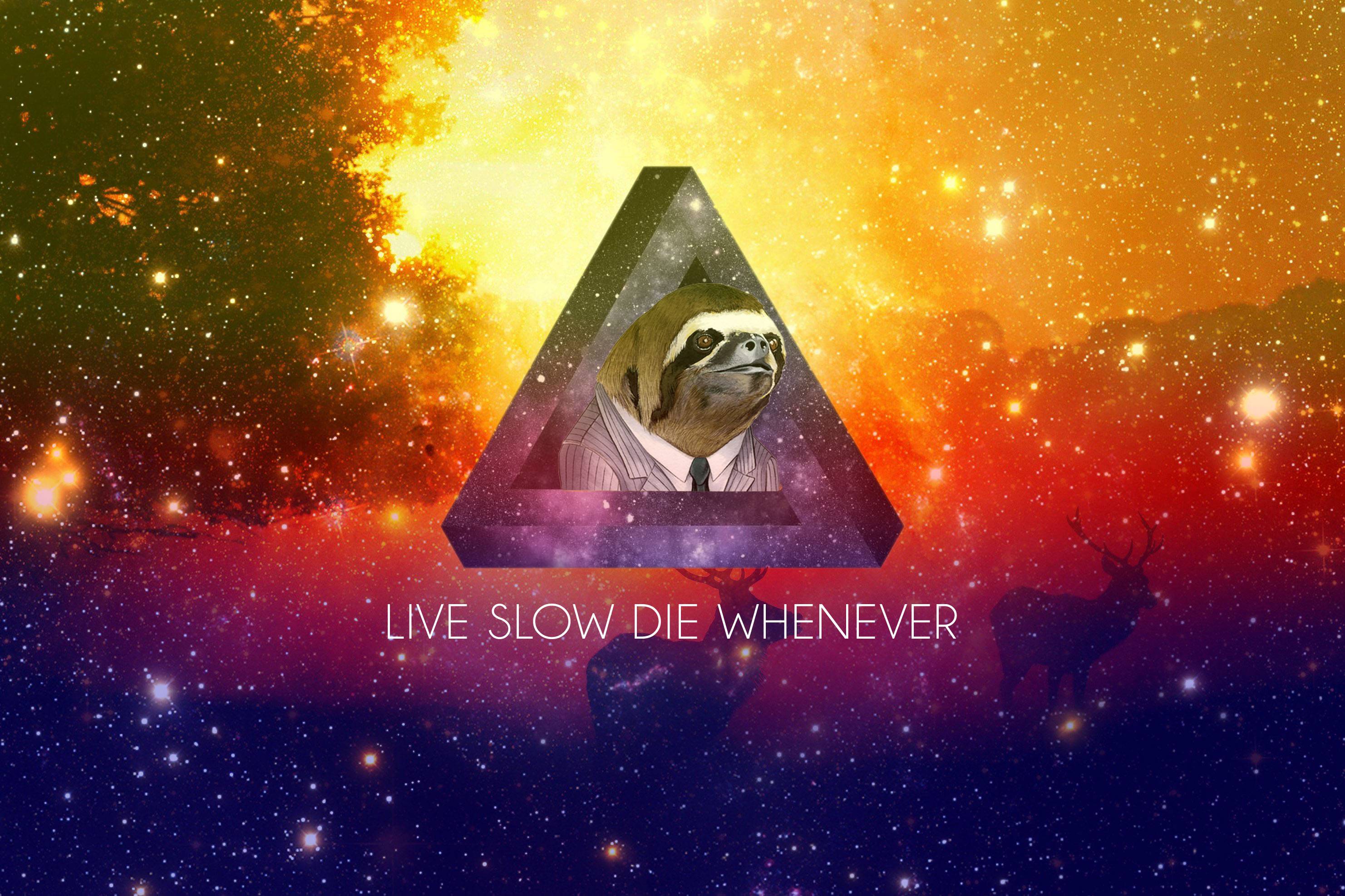 Another sloth wallpaper, Live Slow Die Whenever