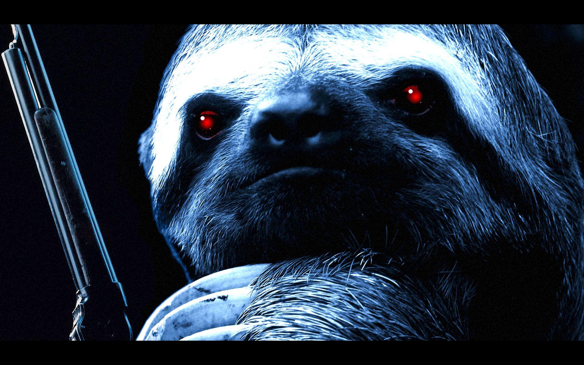 Sloth HD Wallpaper and Background Image