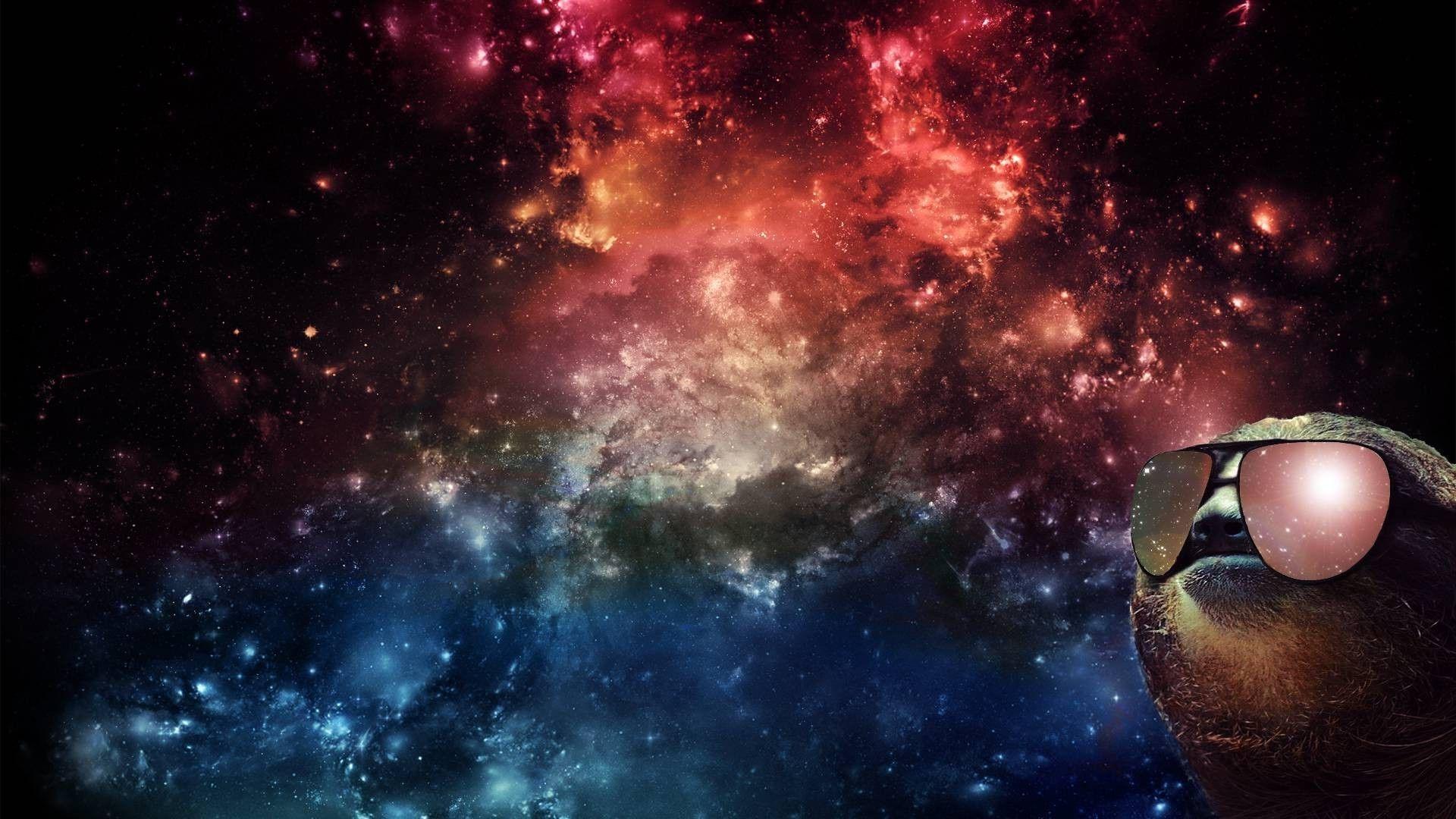 space, Sloths Wallpaper HD / Desktop and Mobile Background
