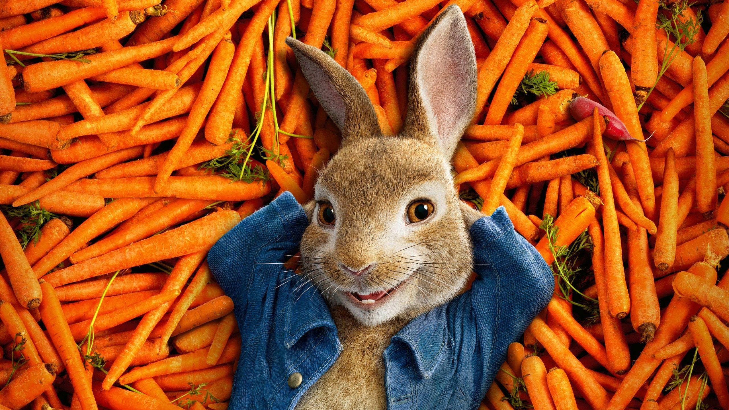 Wallpaper Peter Rabbit, Animation, Adventure, Comedy, HD, 4K